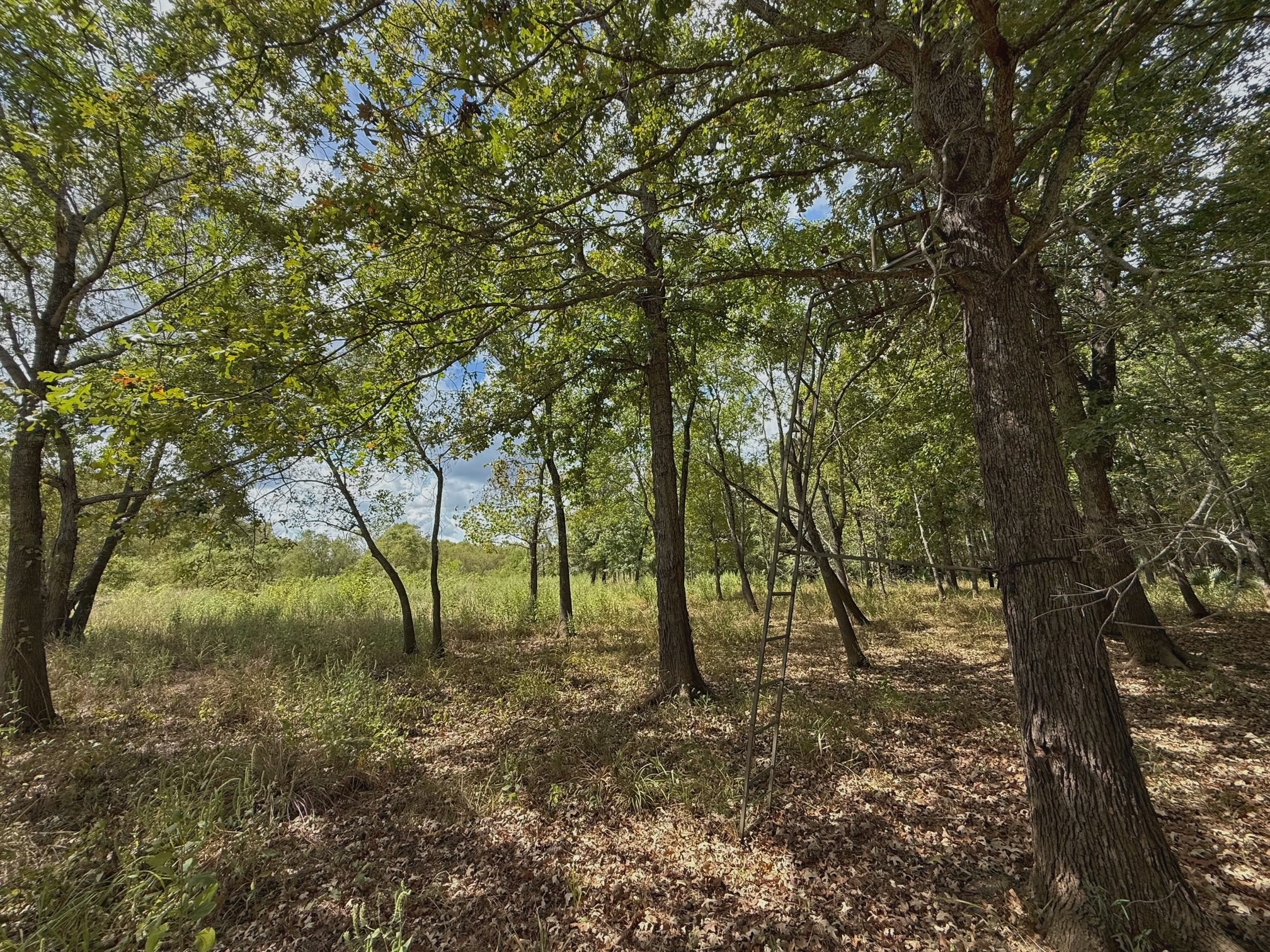 26 Ac Pr 1428 Property Photo 29