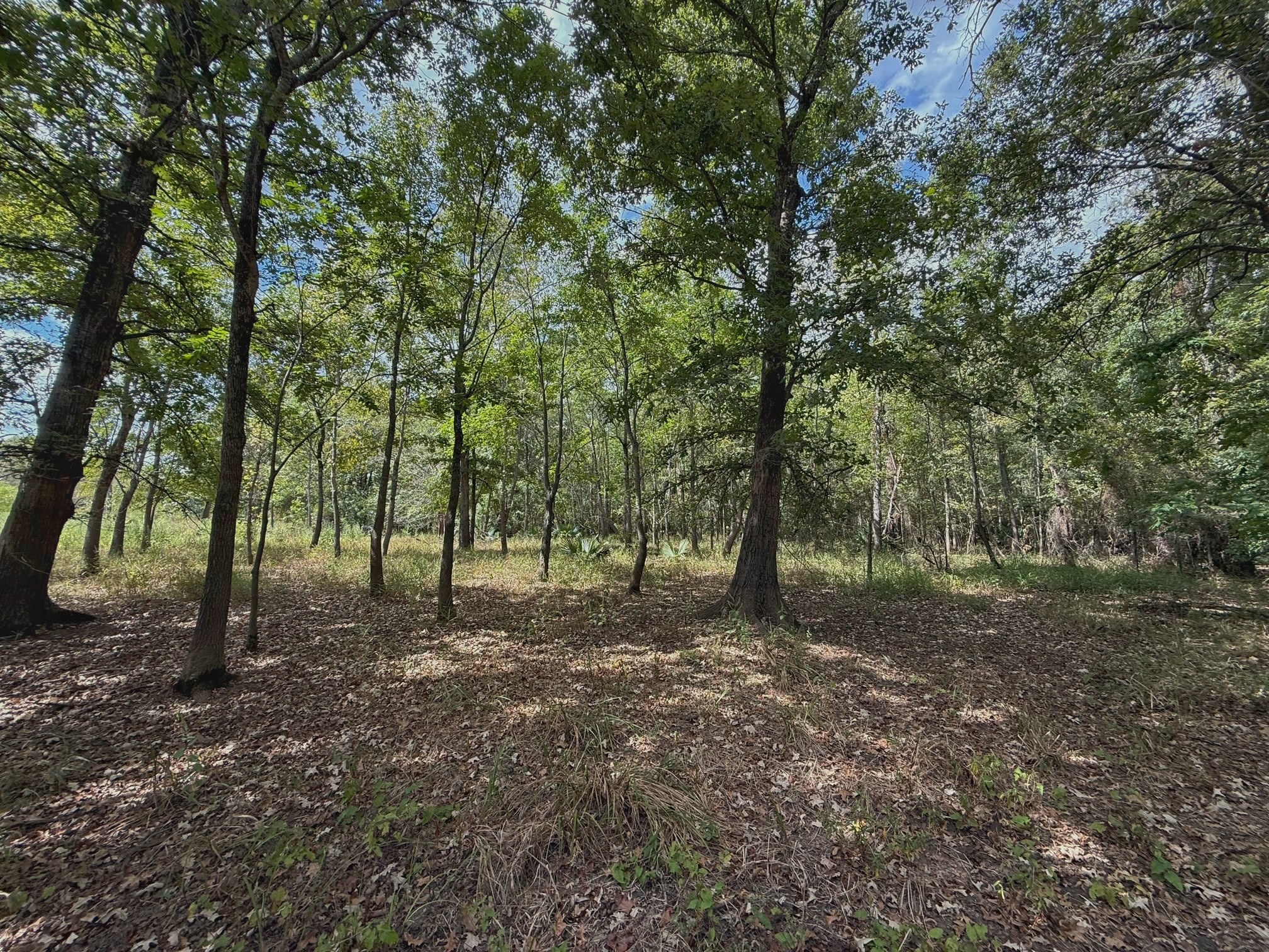 26 Ac Pr 1428 Property Photo 30