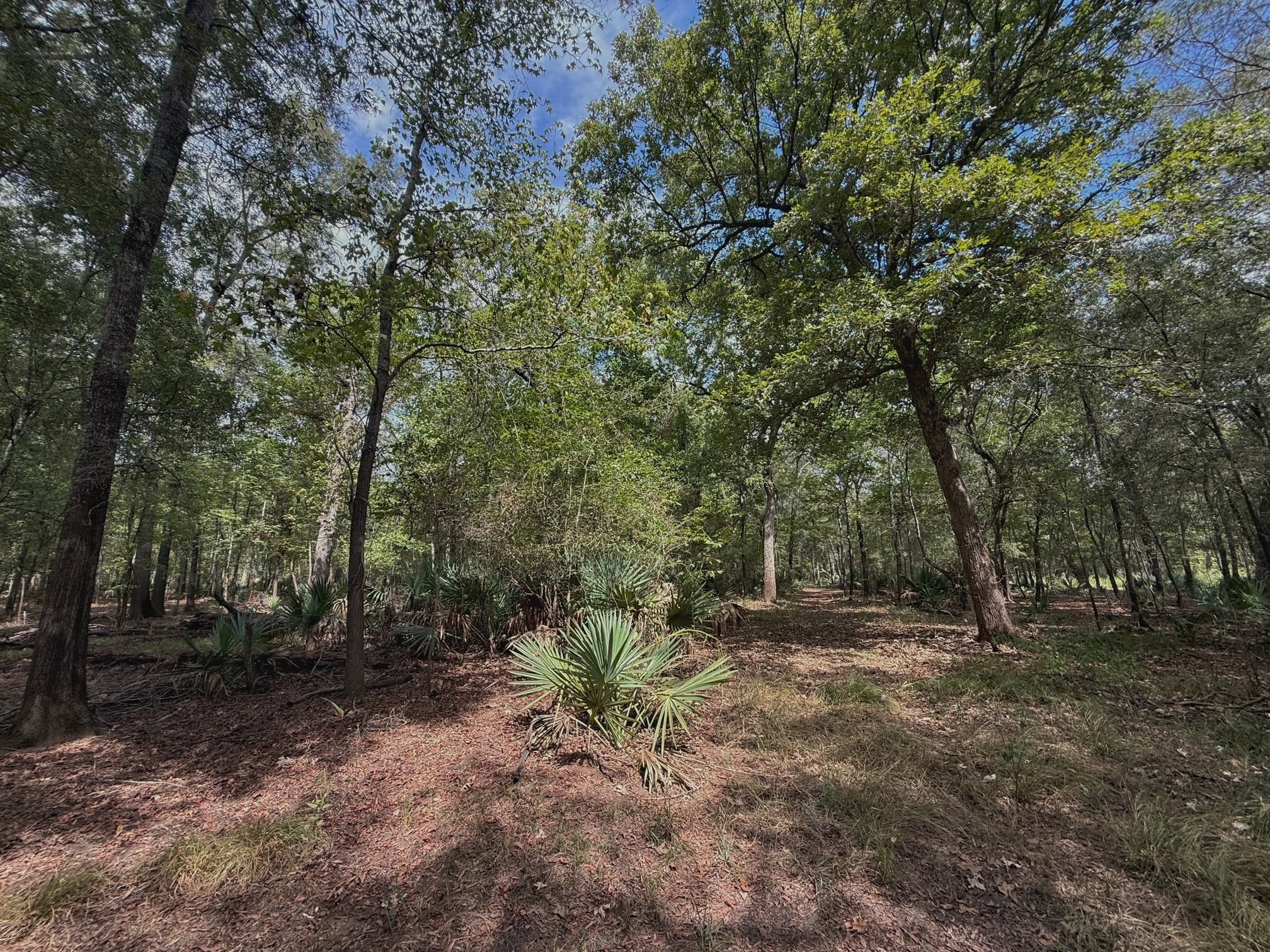 26 Ac Pr 1428 Property Photo 31