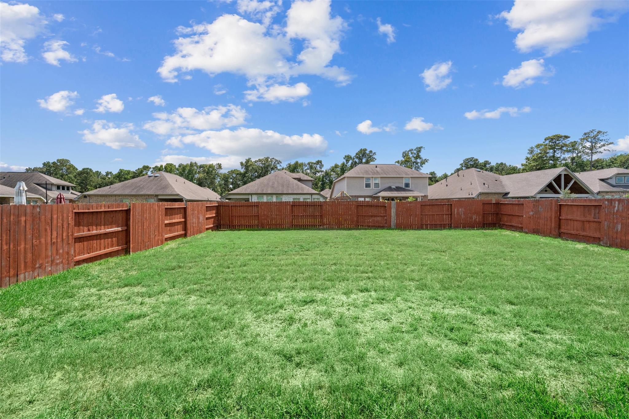 4331 Tawny Timber Drive, Spring Tx 77386 Property Photo 38