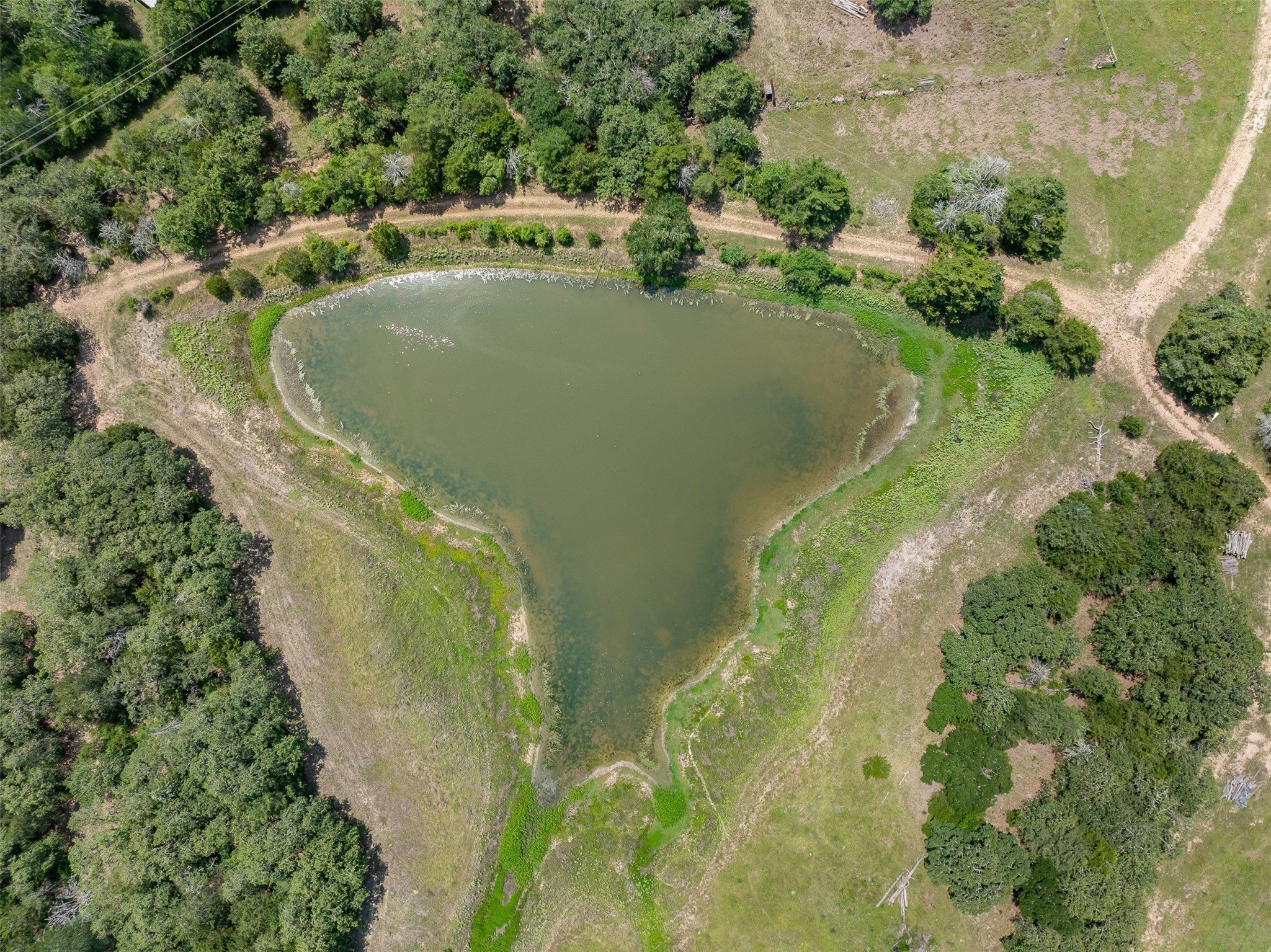 Tbd Halamicek Loop Property Photo 4