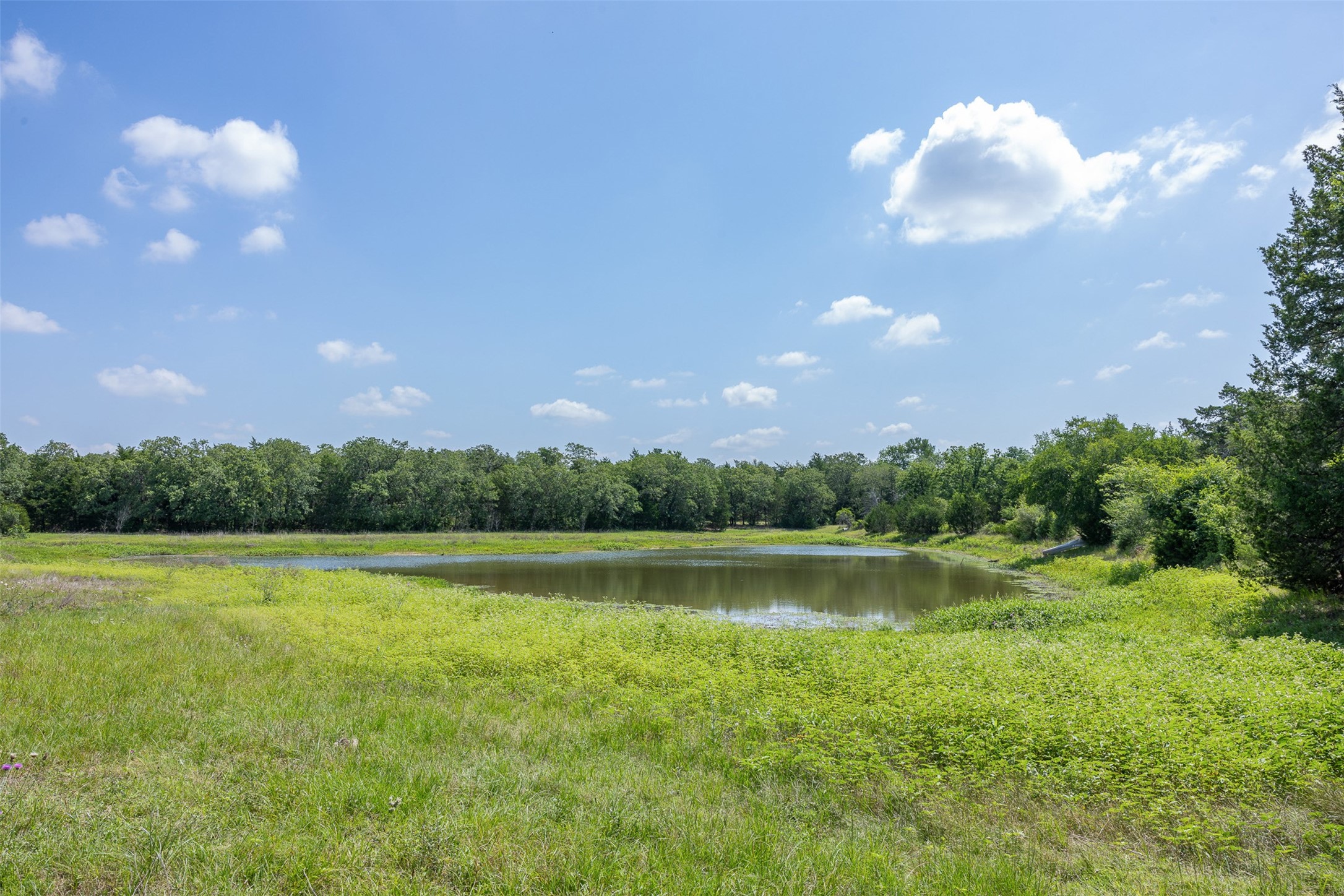 Tbd Halamicek Loop Property Photo 6
