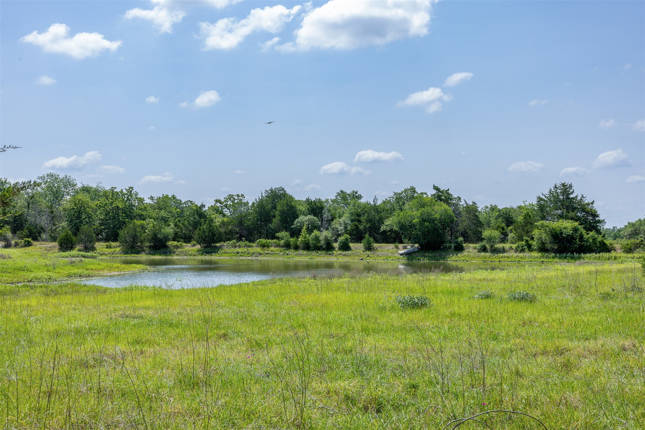 Tbd Halamicek Loop Property Photo 8