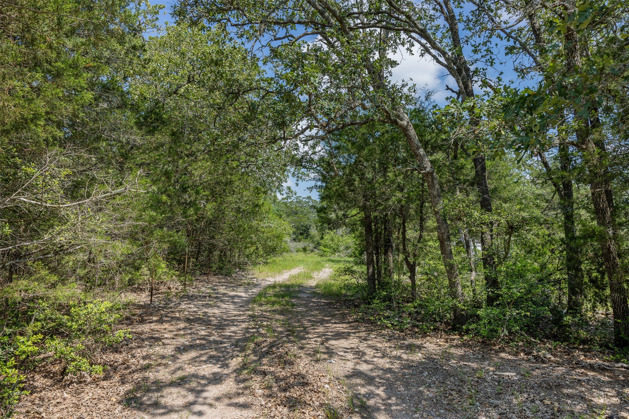 Tbd Halamicek Loop Property Photo 9