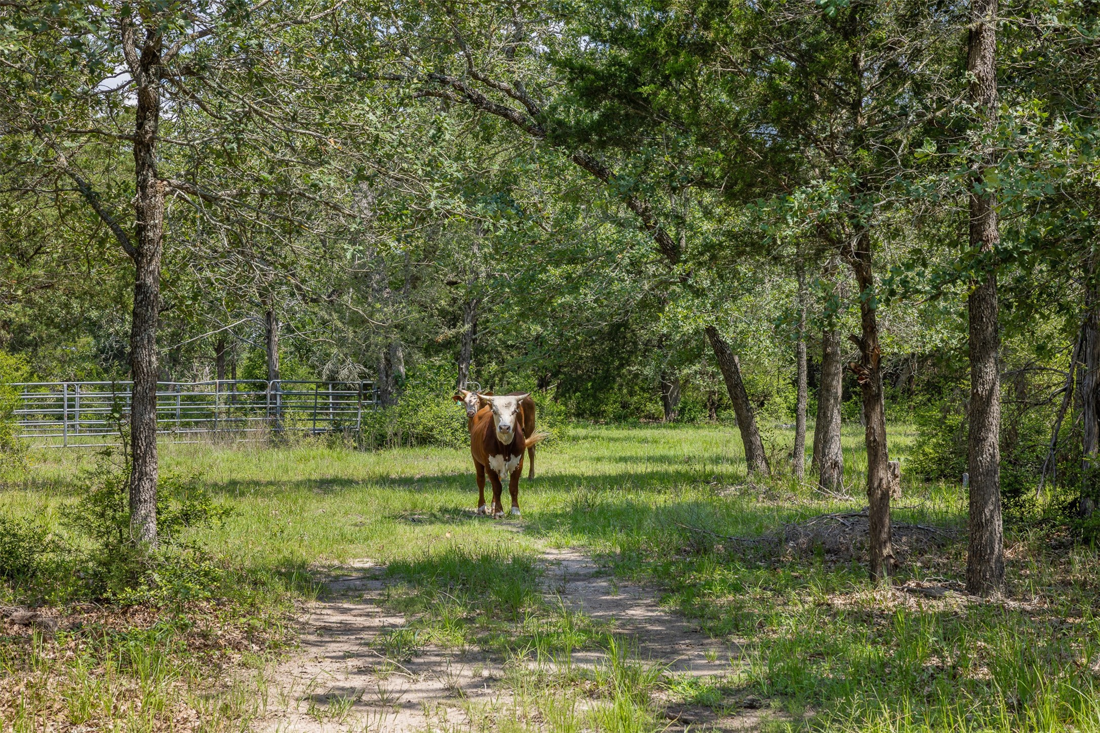 Tbd Halamicek Loop Property Photo 12