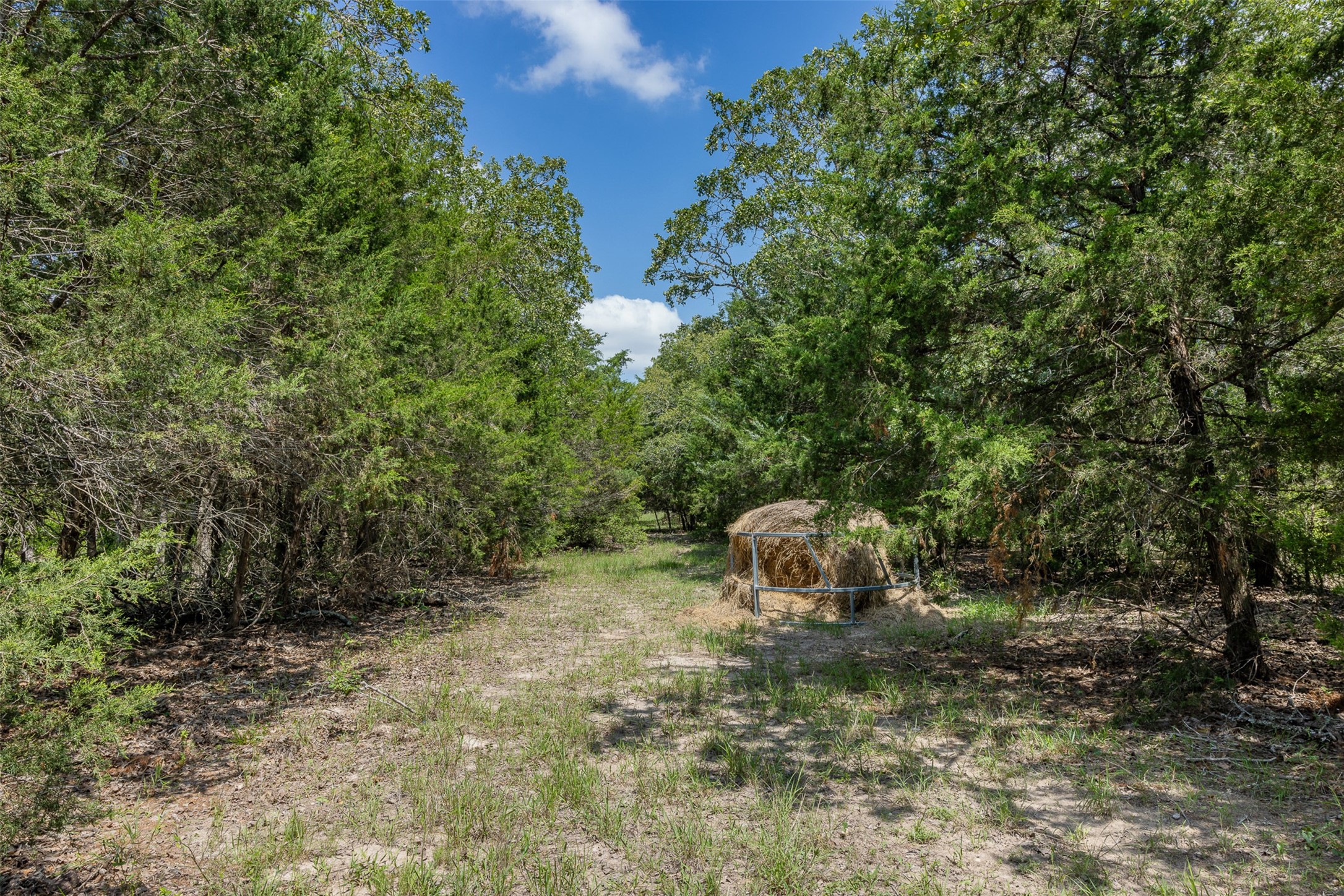 Tbd Halamicek Loop Property Photo 14