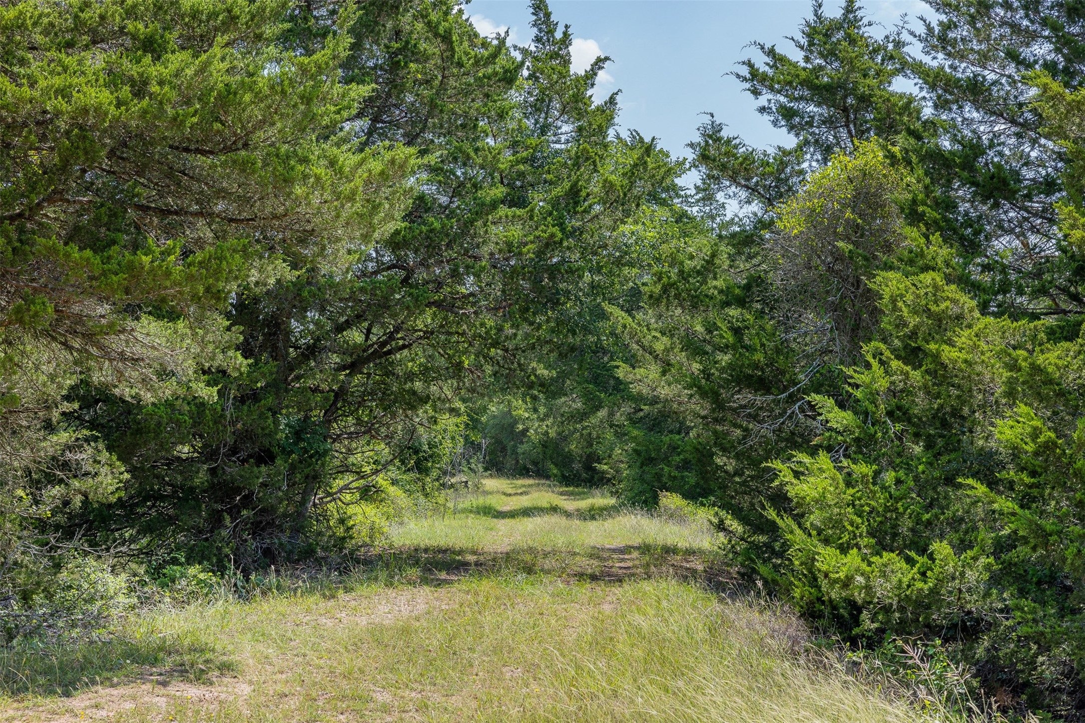 Tbd Halamicek Loop Property Photo 24