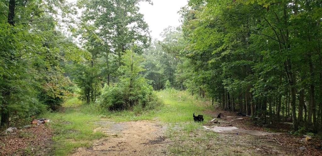 7667 Hwy 101 North Property Photo 2