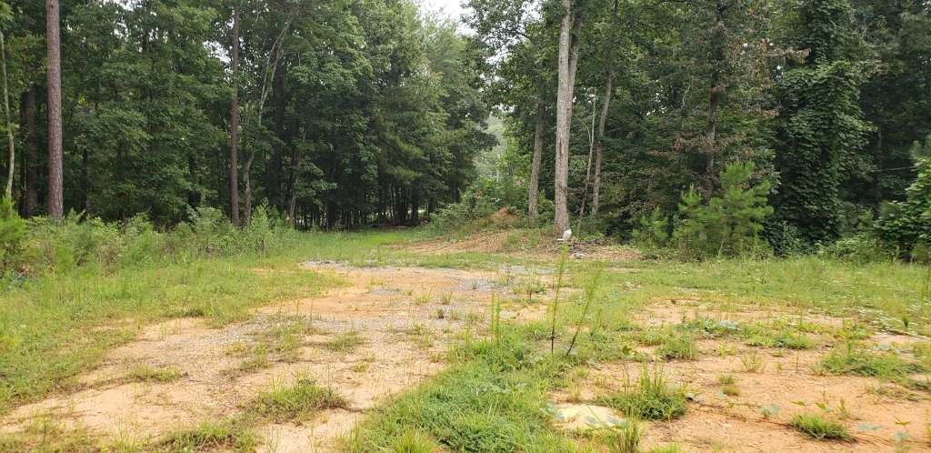 7667 Hwy 101 North Property Photo 3