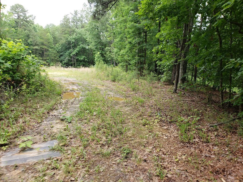 7667 Hwy 101 North Property Photo 4