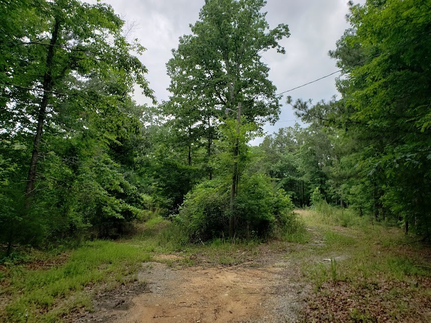 7667 Hwy 101 North Property Photo 6