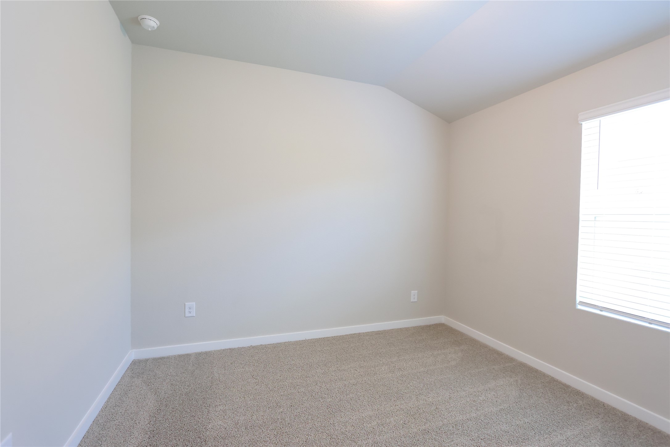 1539 King Ranch Road Property Photo 7