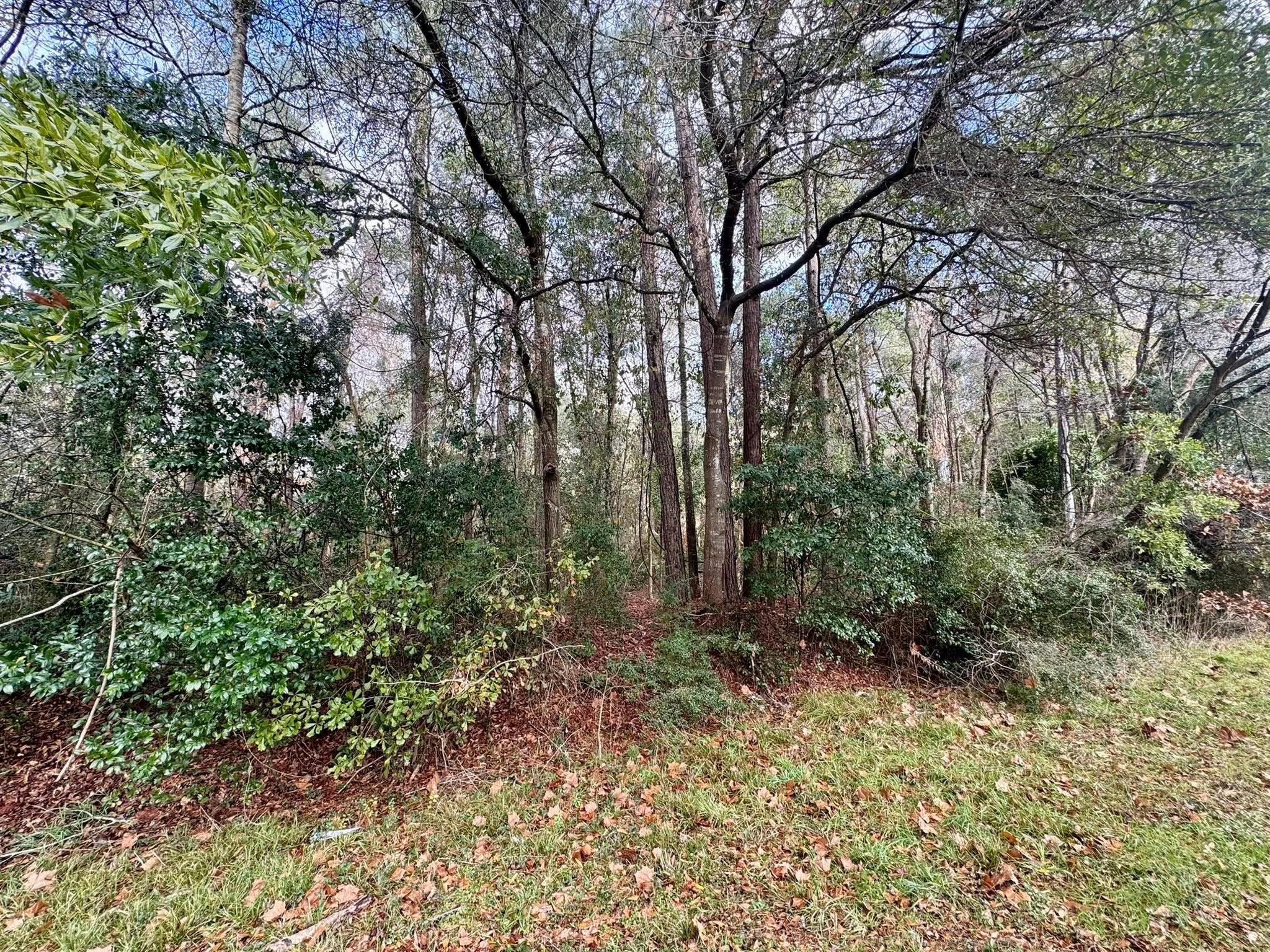 Tbd Fm 92 Property Photo 1