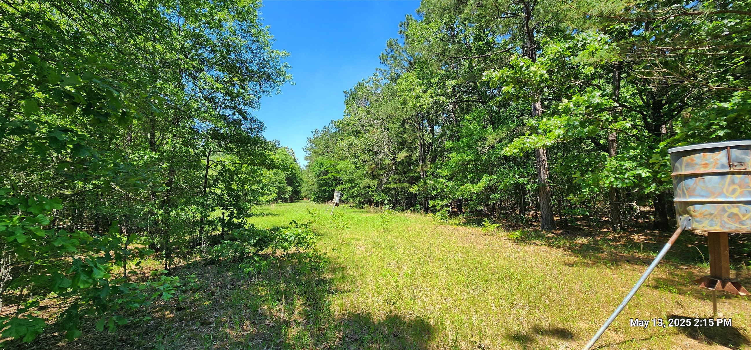 Tbd Cr 3233 Property Photo 1