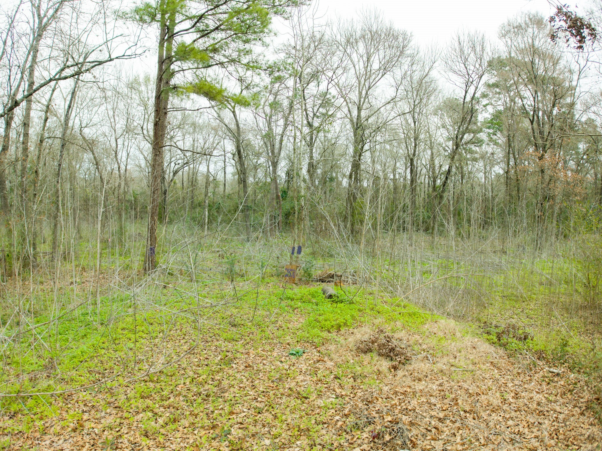 2800 McGinnis Lane Property Photo 1