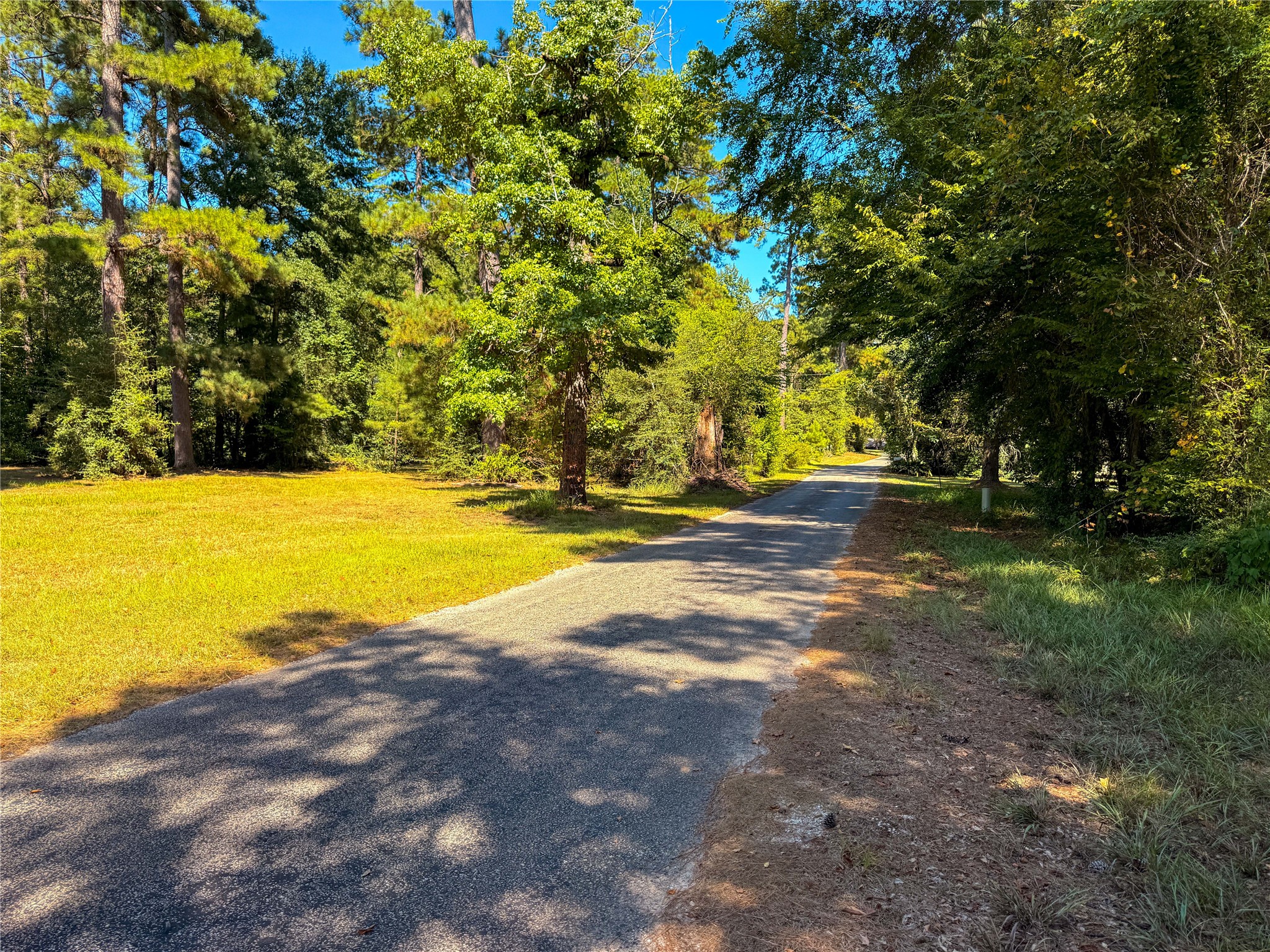 700 County Road 4120 Property Photo 4