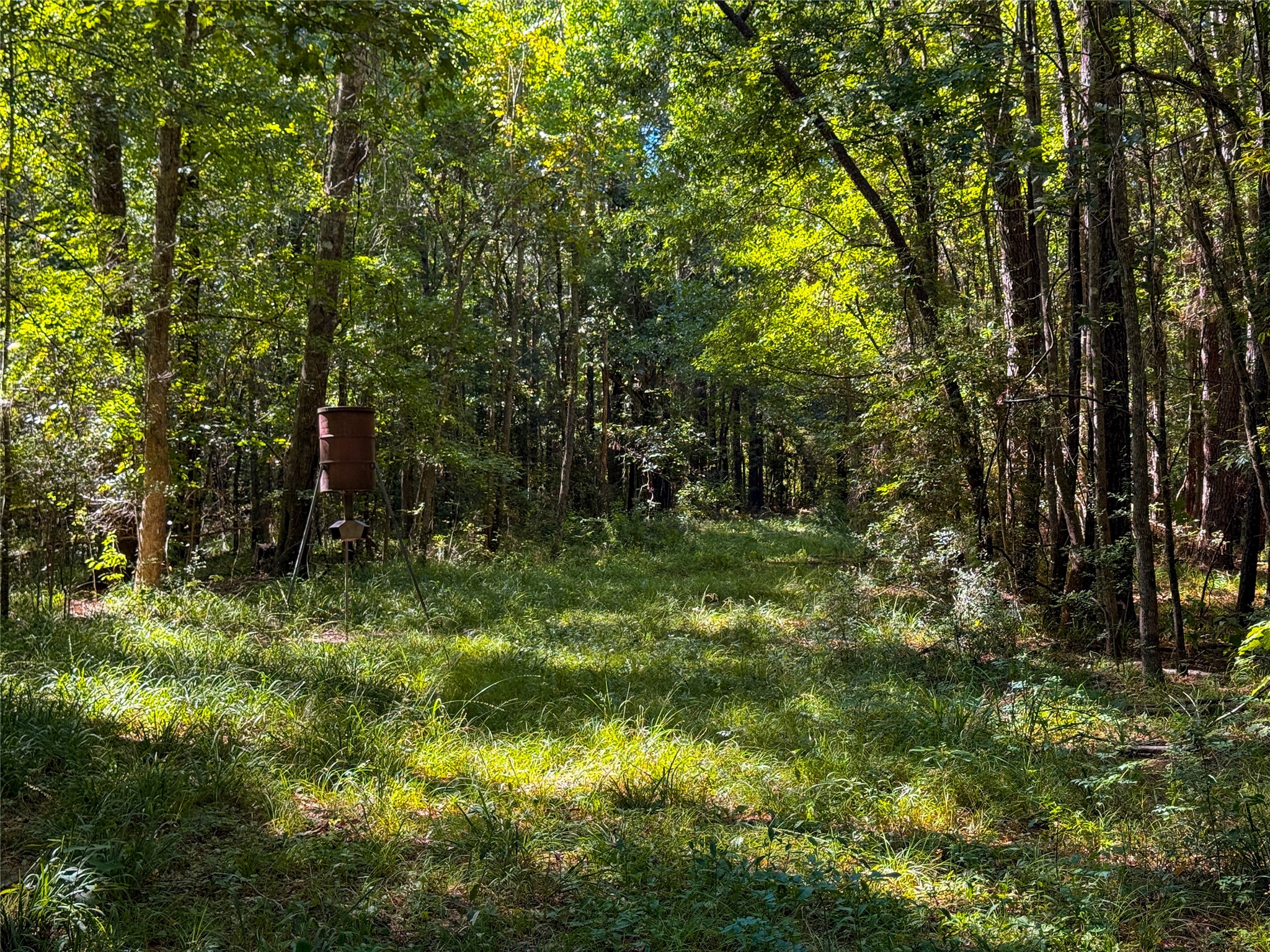 700 County Road 4120 Property Photo 44