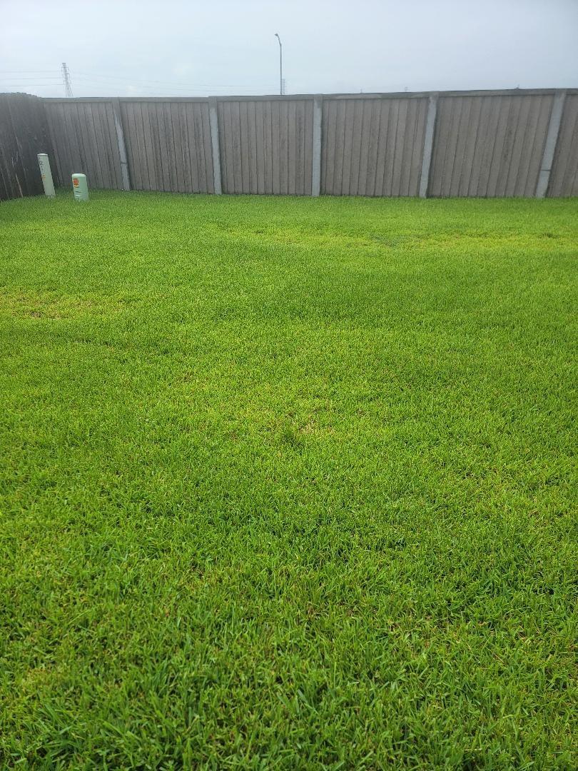16706 Grazed Fallow Trail Property Photo 21