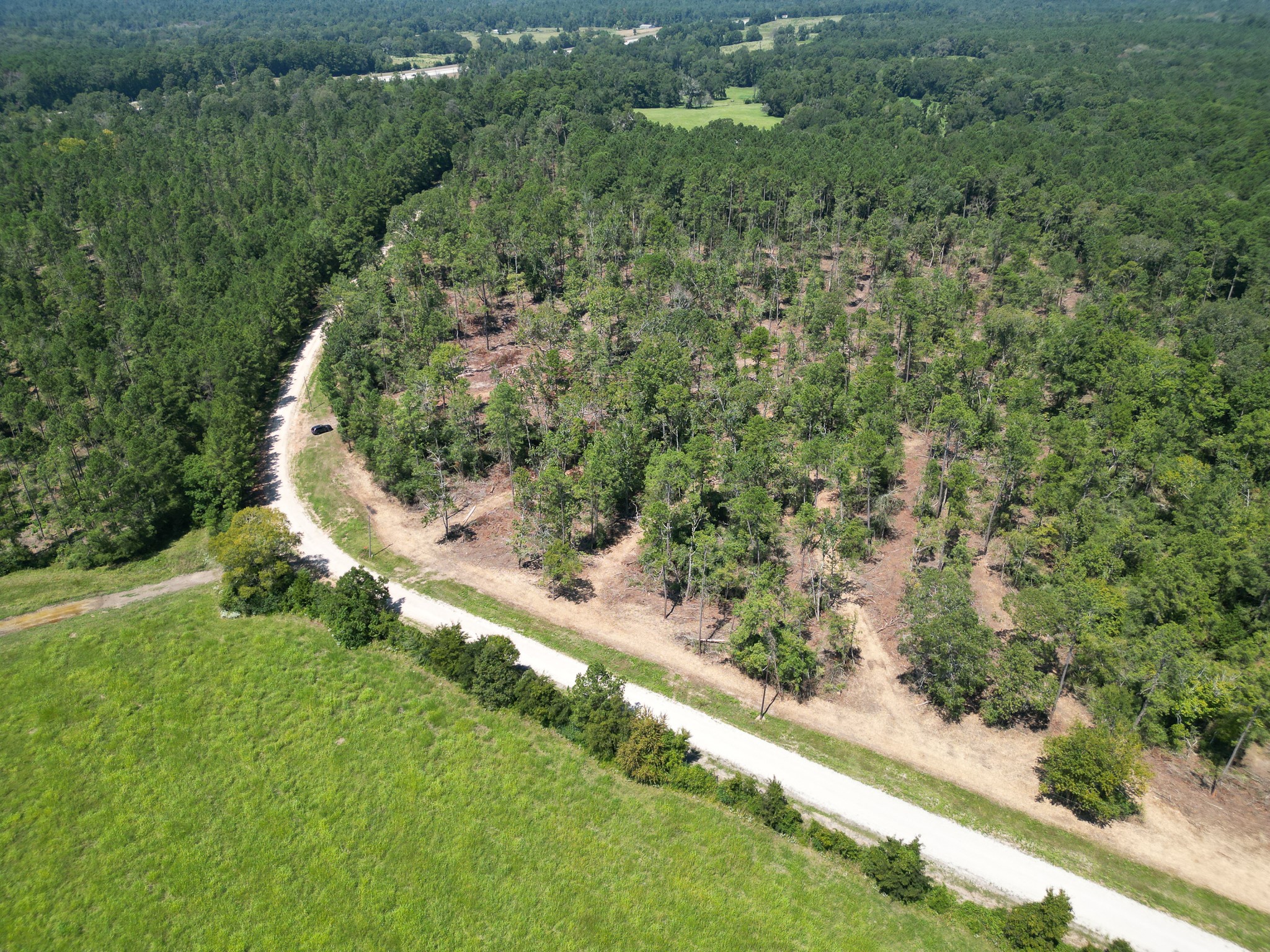Tbd Vick Spring Road Property Photo 1