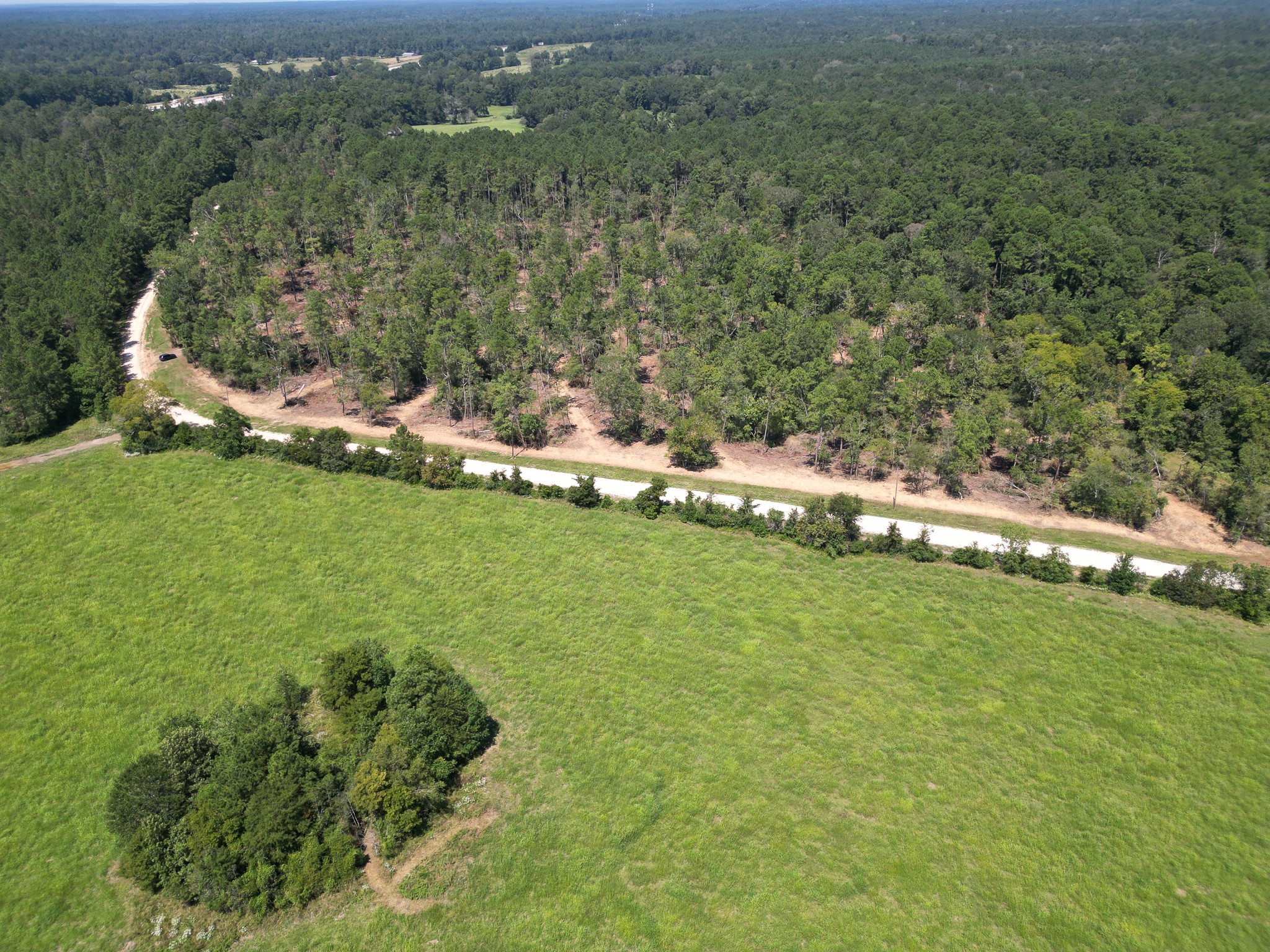 Tbd Vick Spring Road Property Photo 3