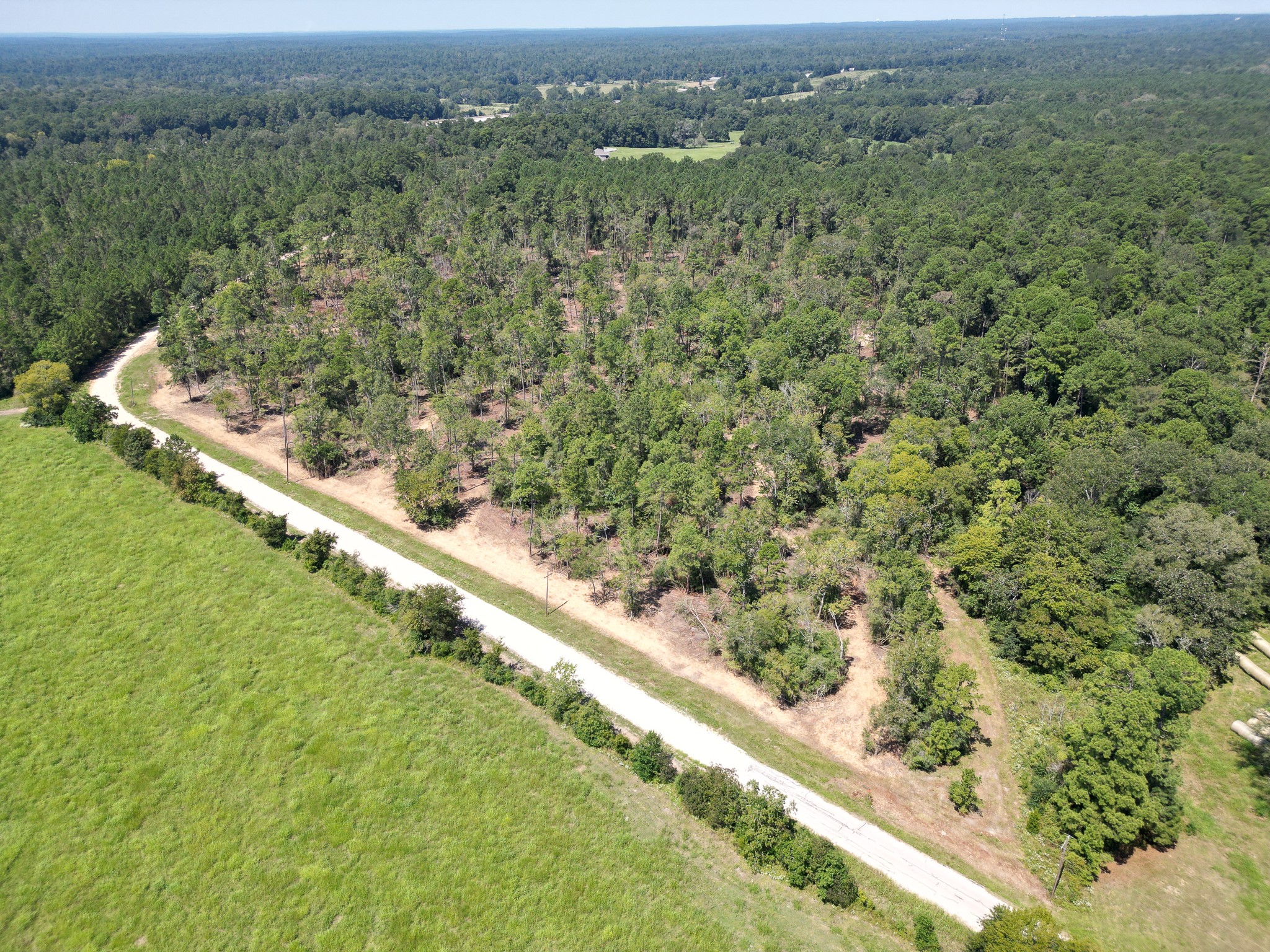 Tbd Vick Spring Road Property Photo 7