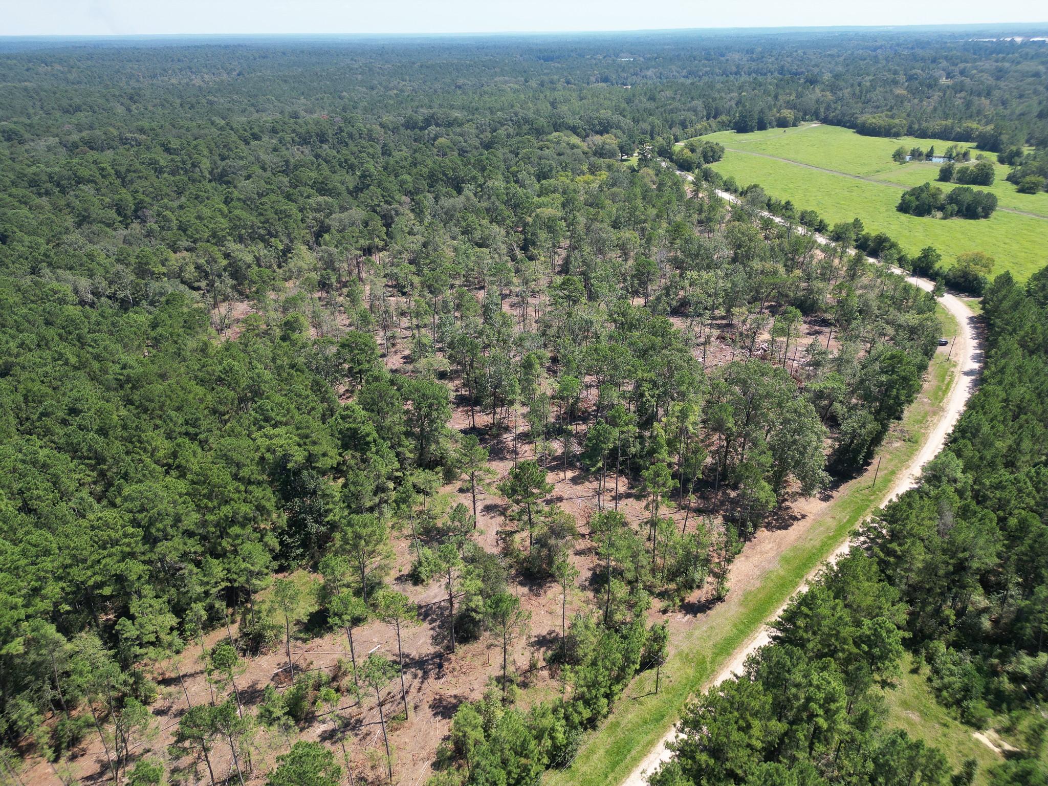 Tbd Vick Spring Road Property Photo 8