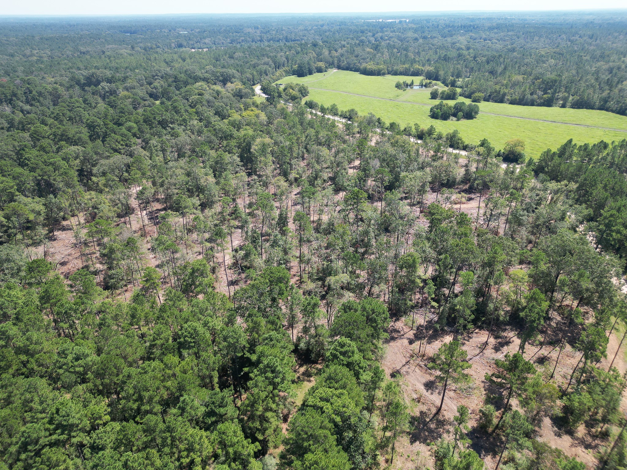 Tbd Vick Spring Road Property Photo 10