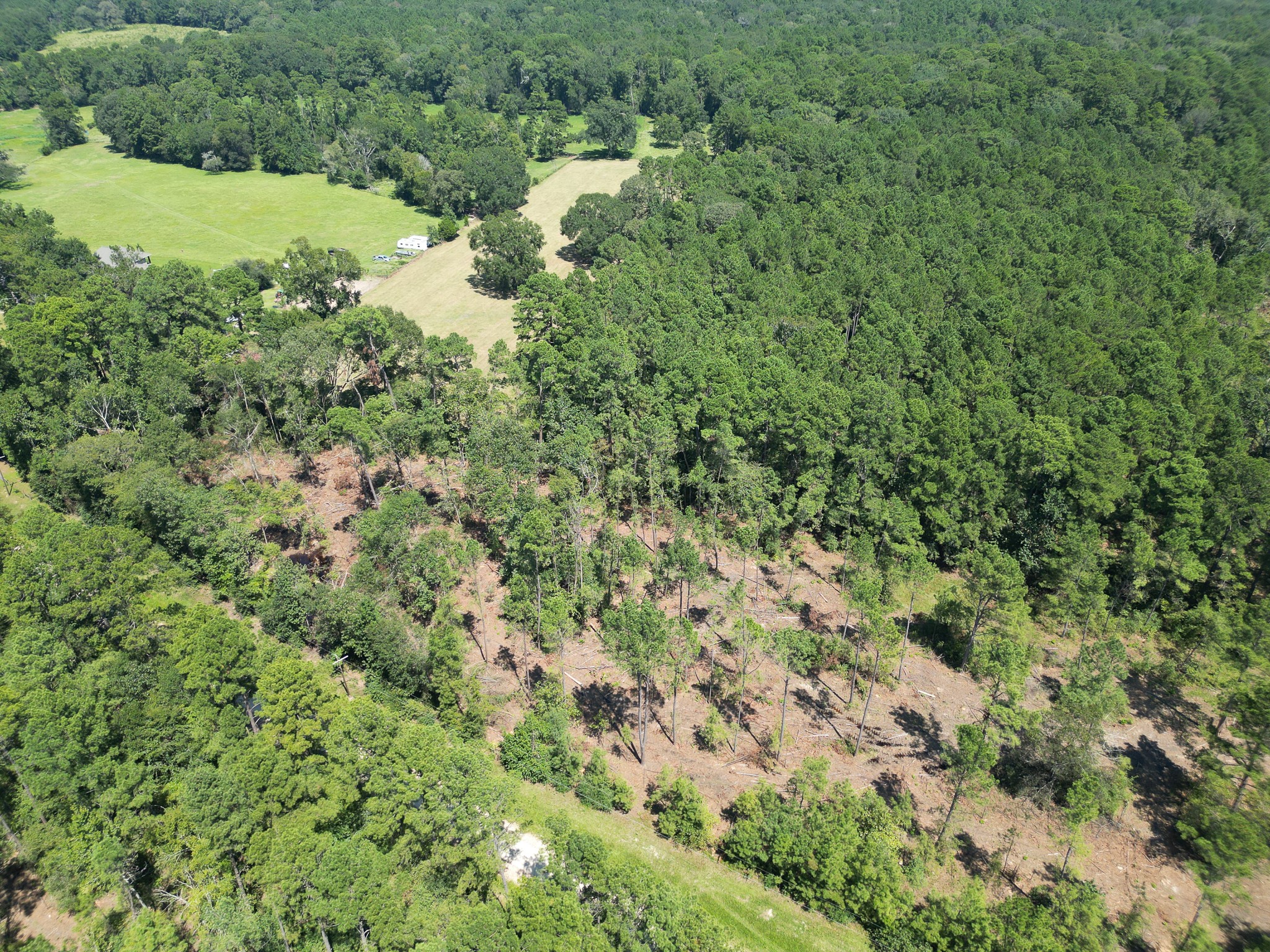 Tbd Vick Spring Road Property Photo 11