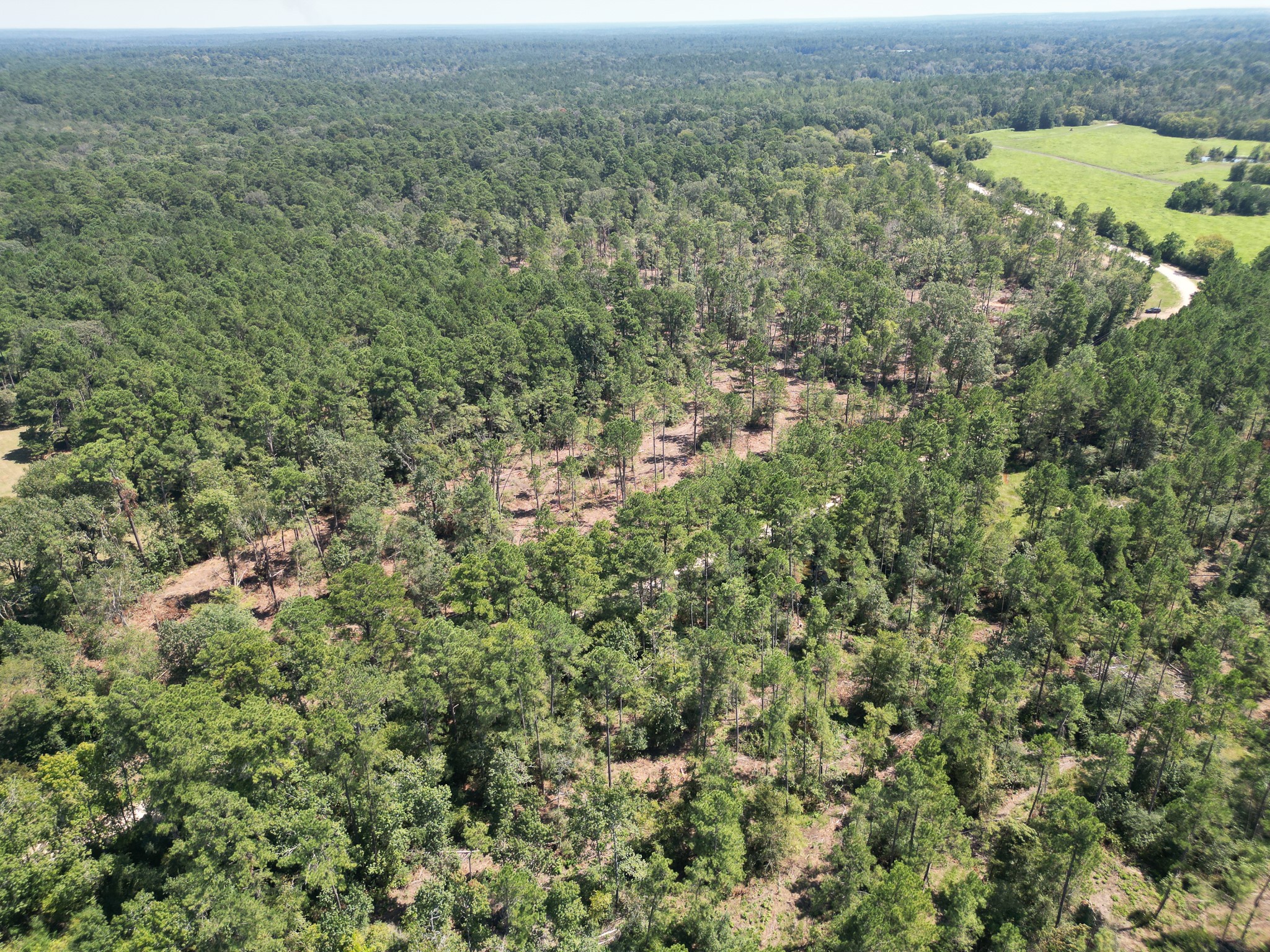 Tbd Vick Spring Road Property Photo 12