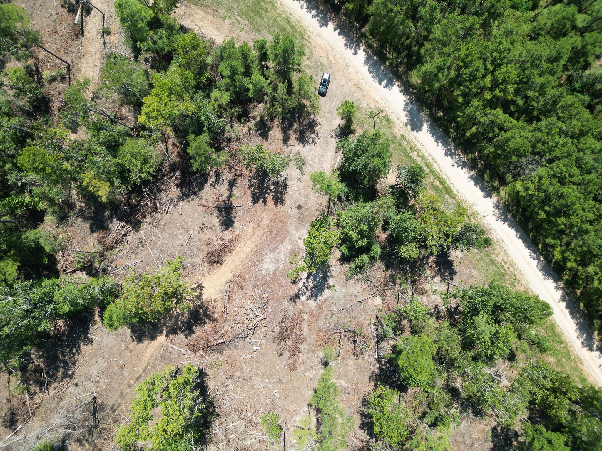 Tbd Vick Spring Road Property Photo 13