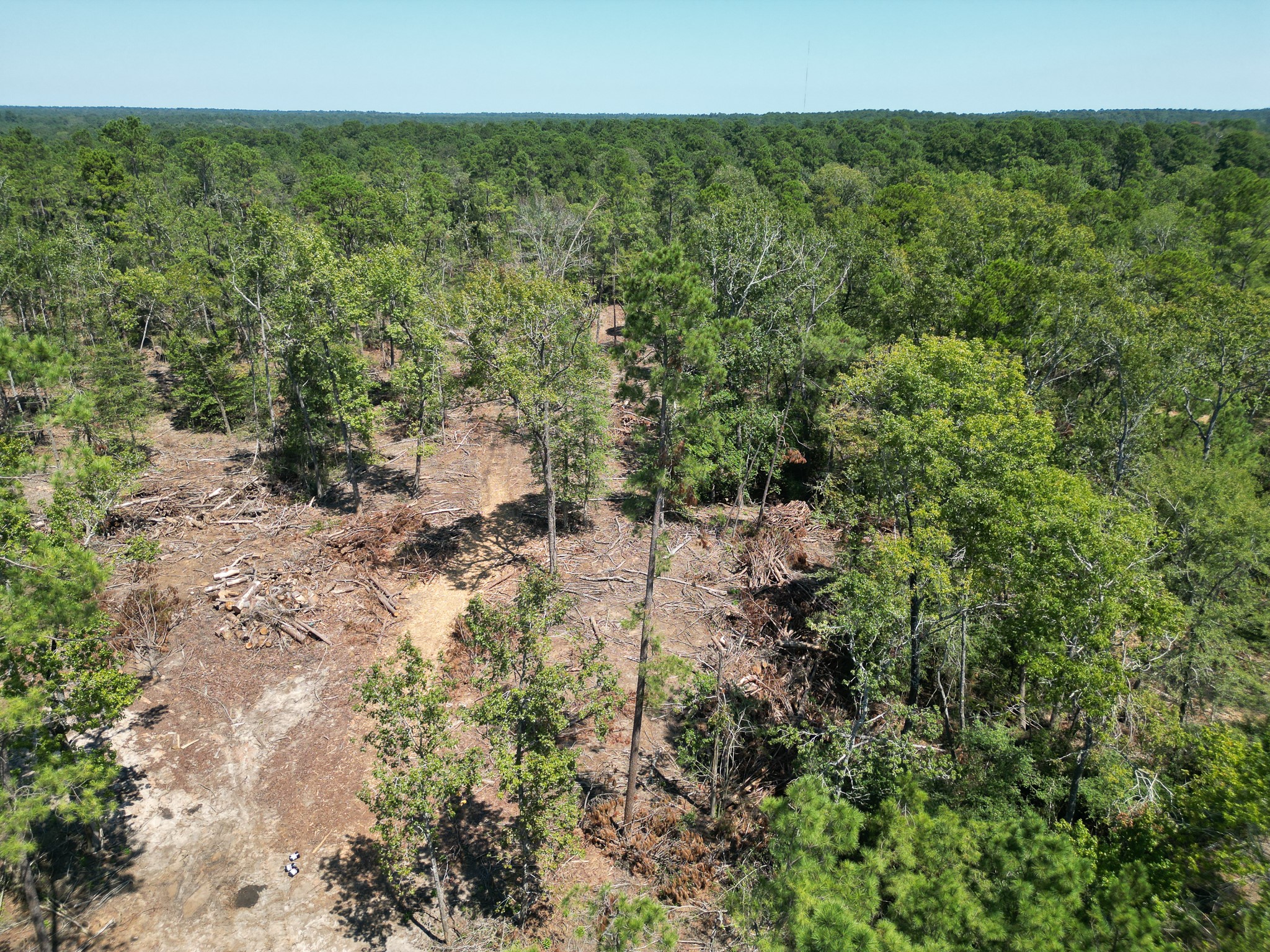 Tbd Vick Spring Road Property Photo 14