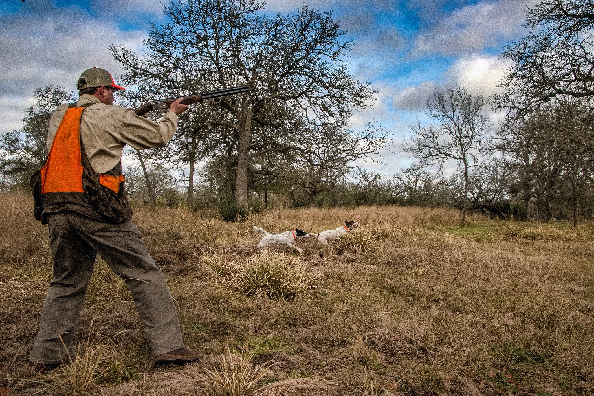 1670 Big Easy Ranch Lane Property Photo 10
