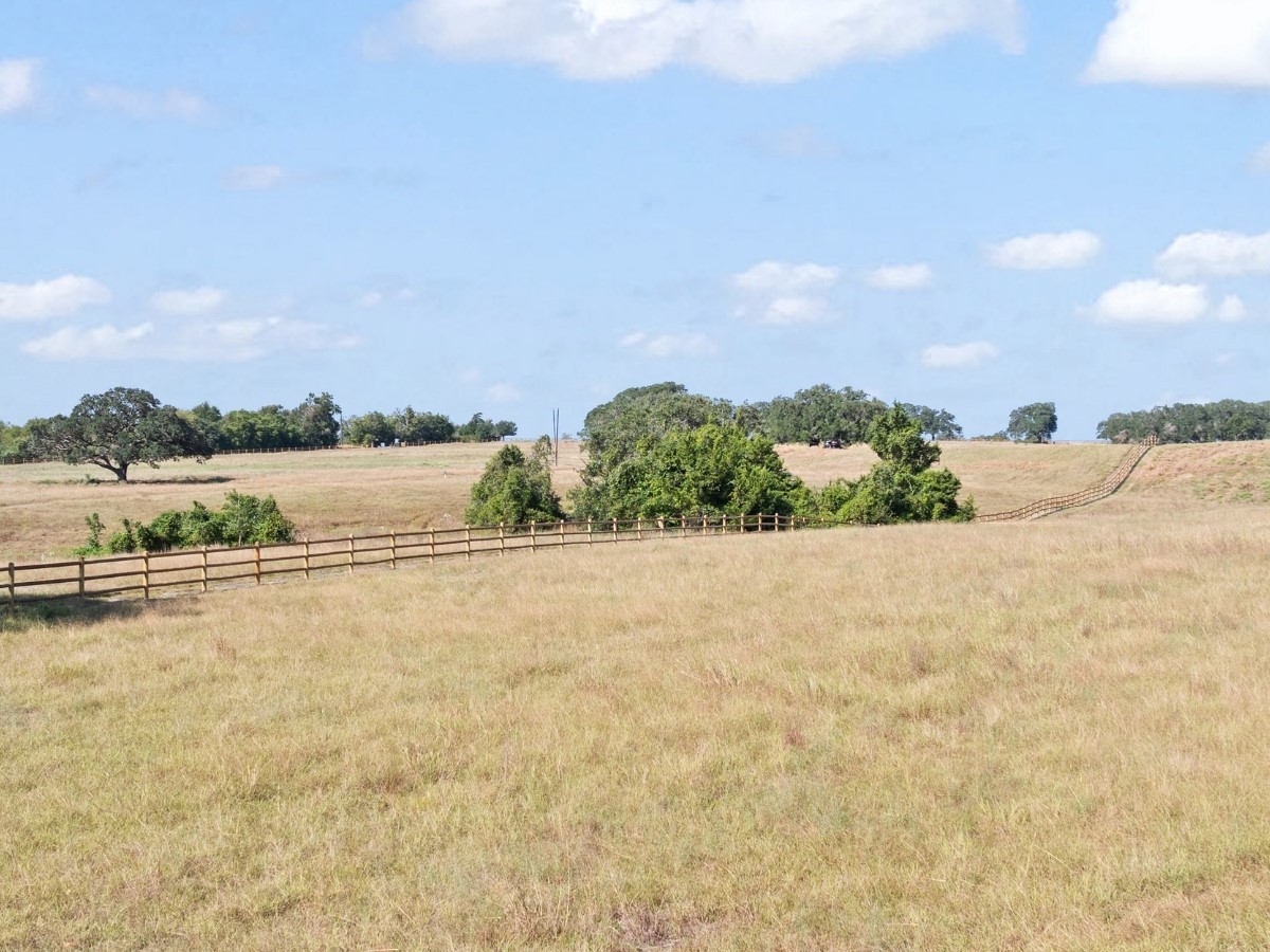 2955 Fm 956 Property Photo 5