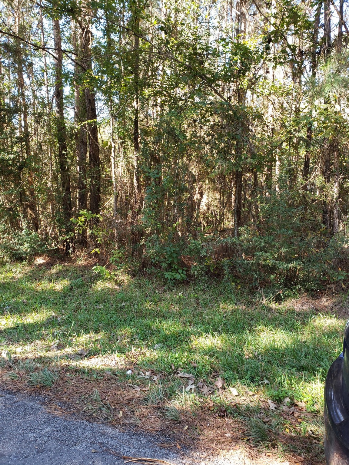 000 County Road 2097 Property Photo 2