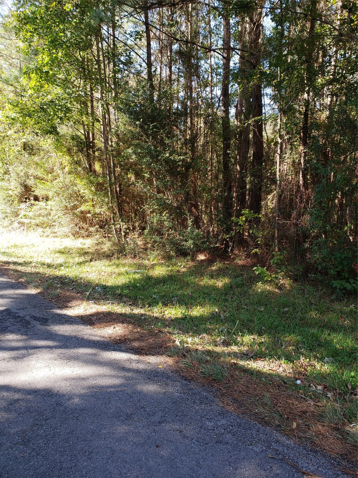 000 County Road 2097 Property Photo 3