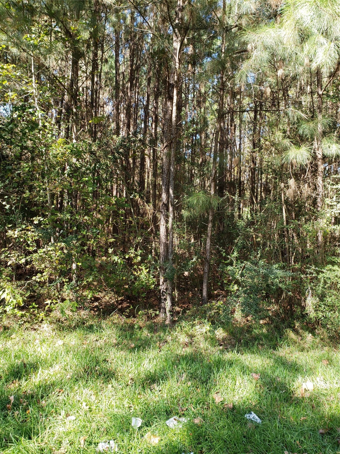000 County Road 2097 Property Photo 4