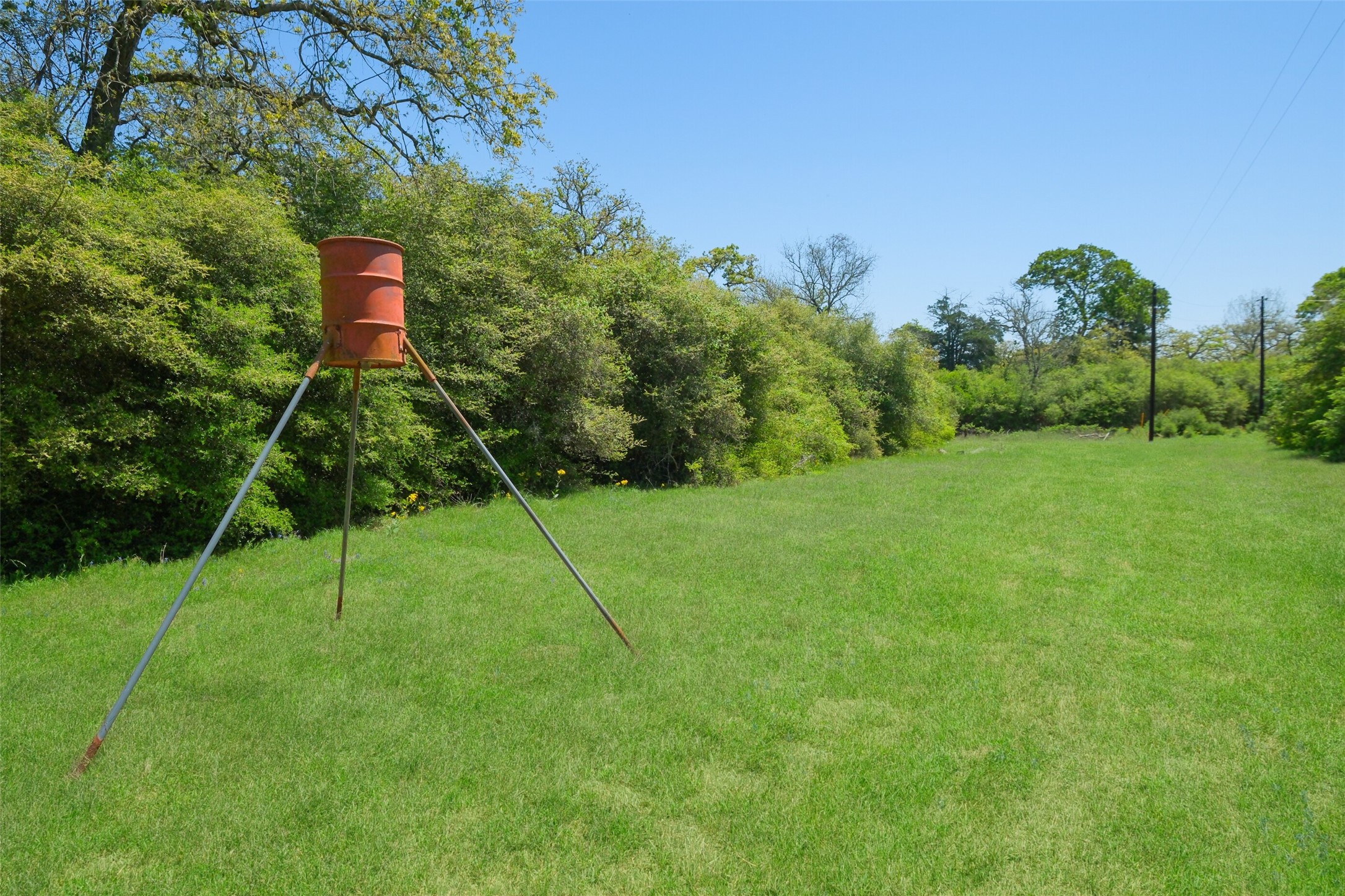 24718 Squirrel Road Property Photo 1