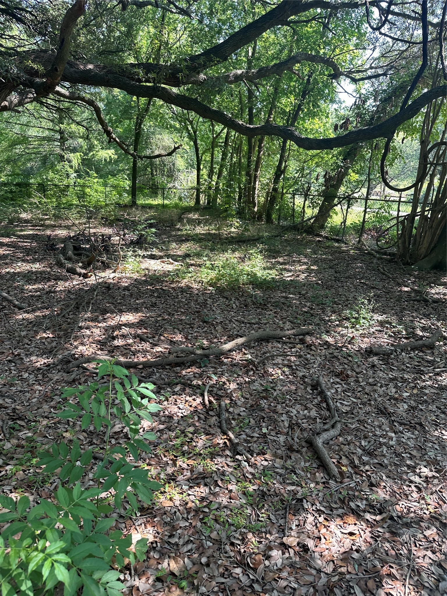 0 Carr Property Photo 2