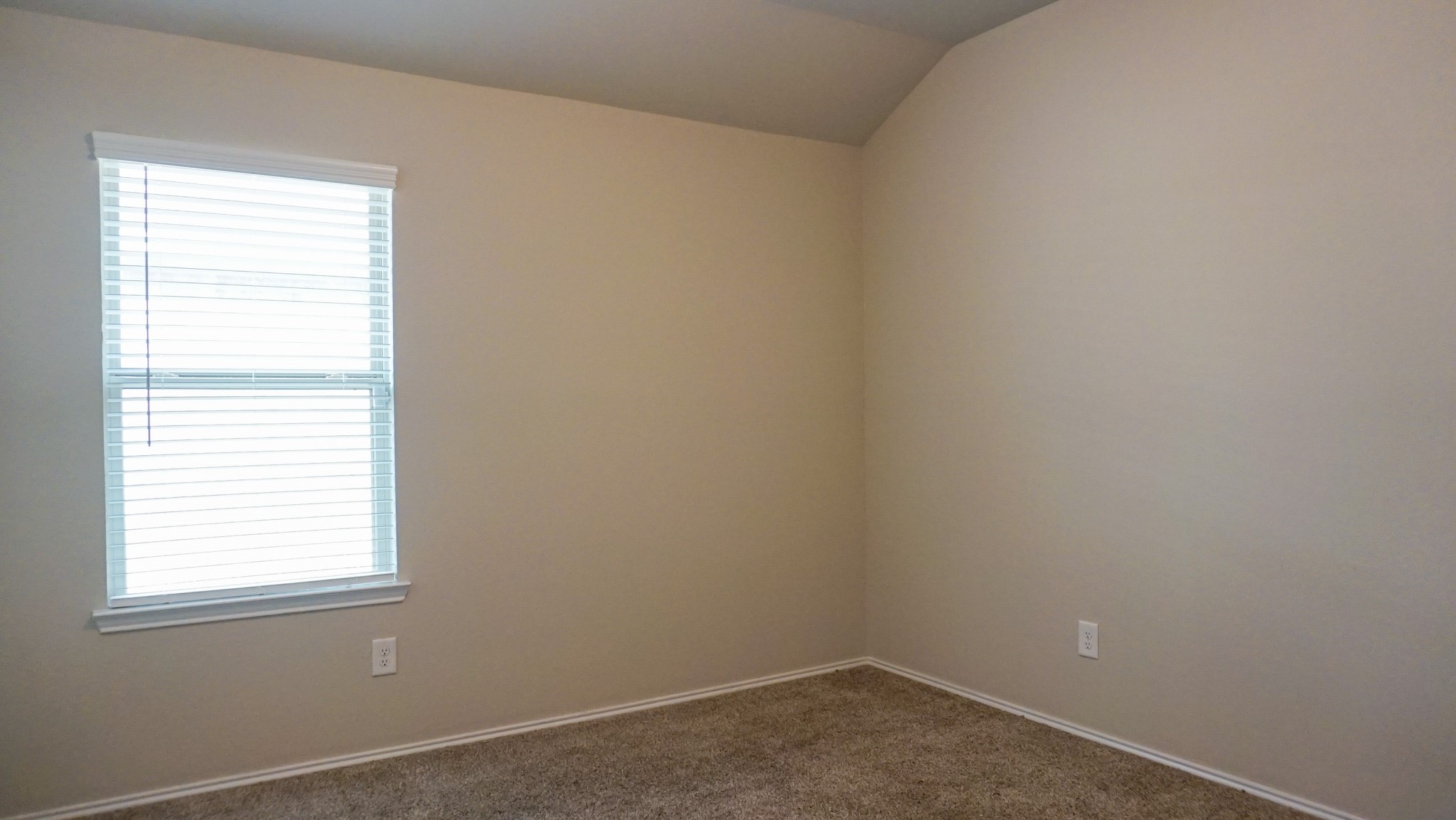 22723 Petrizzi Lane Property Photo 16