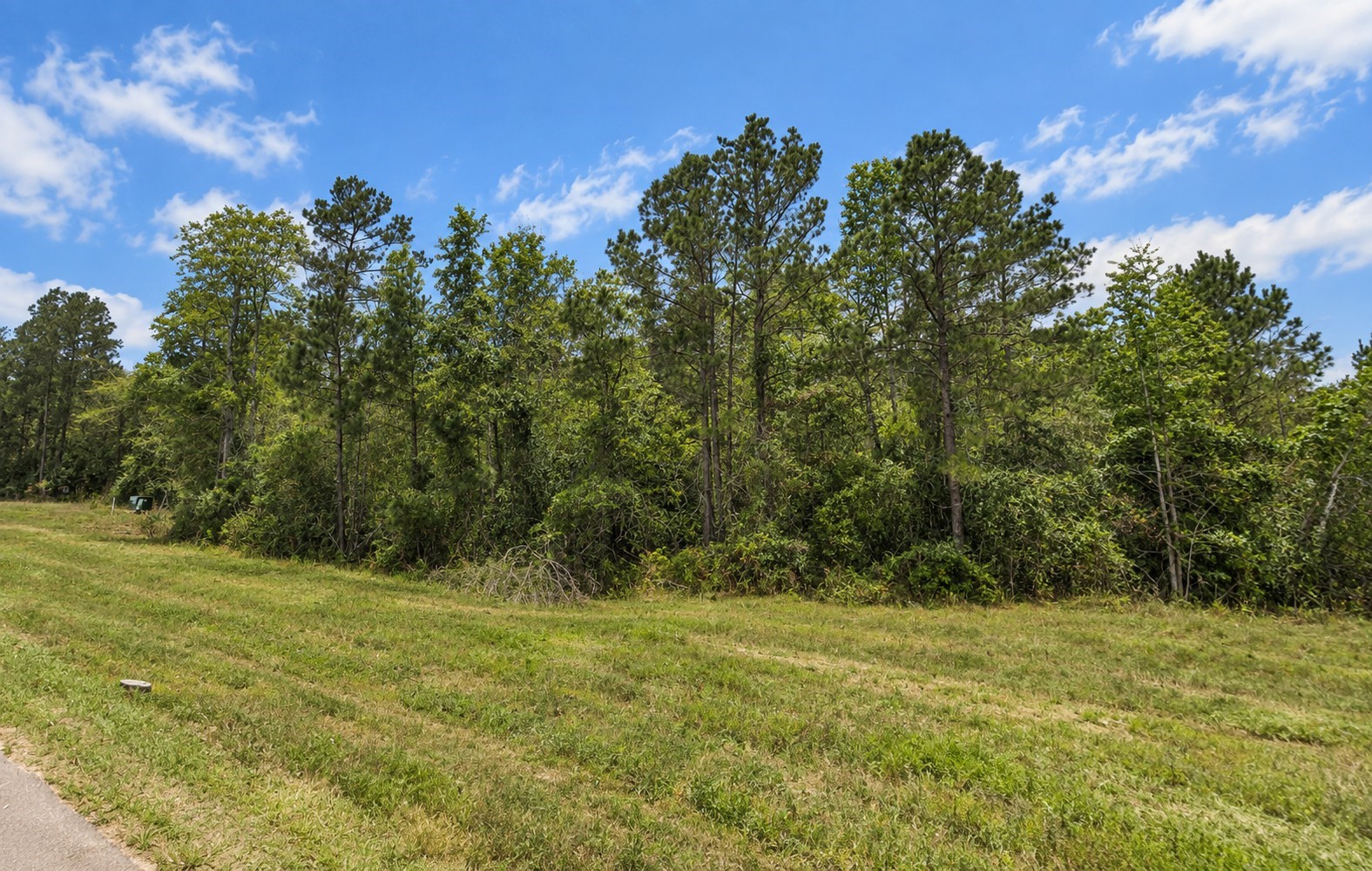 16611 Retreat Road Property Photo 5