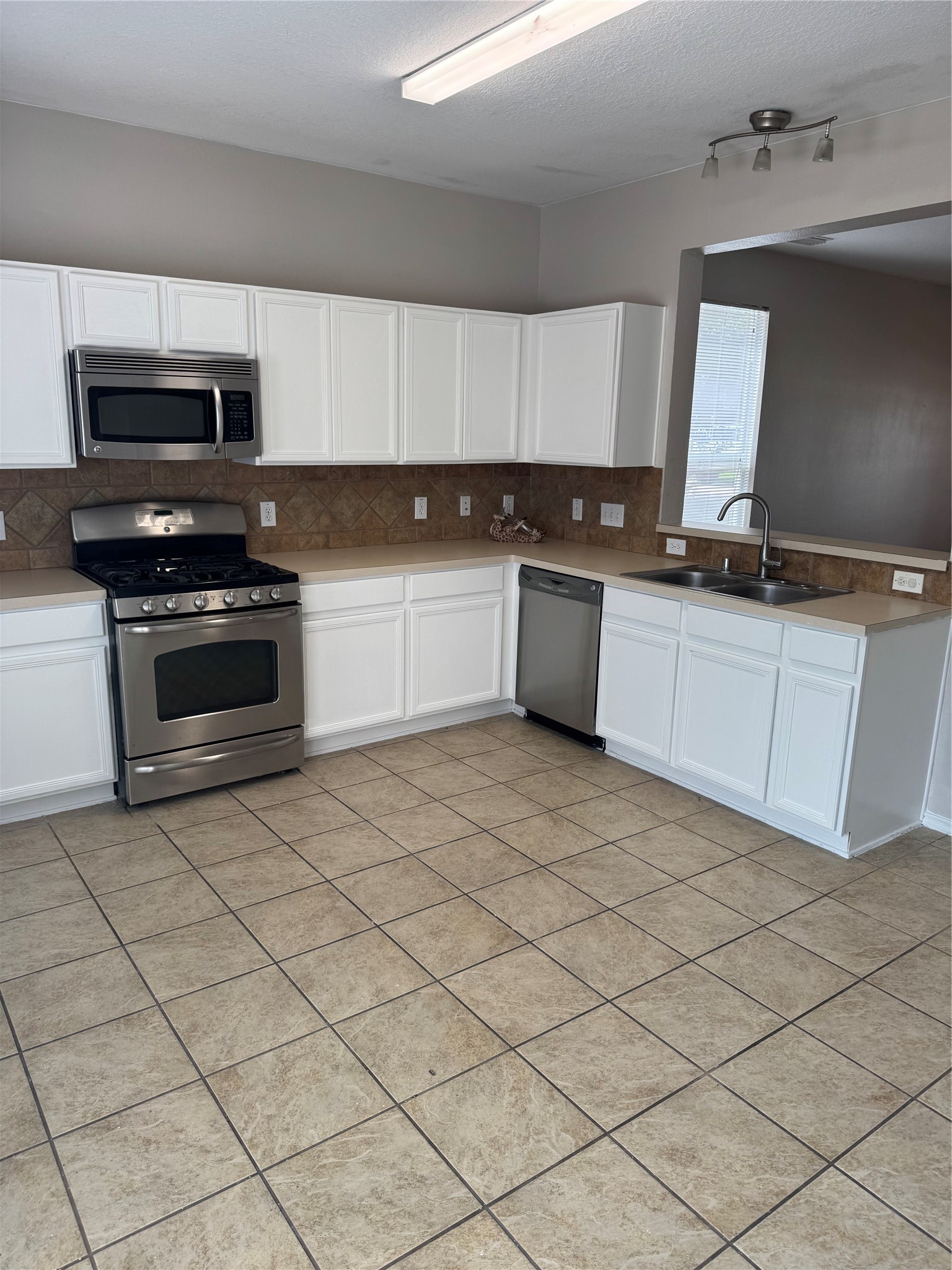 16867 Mammoth Springs Drive Property Photo 6