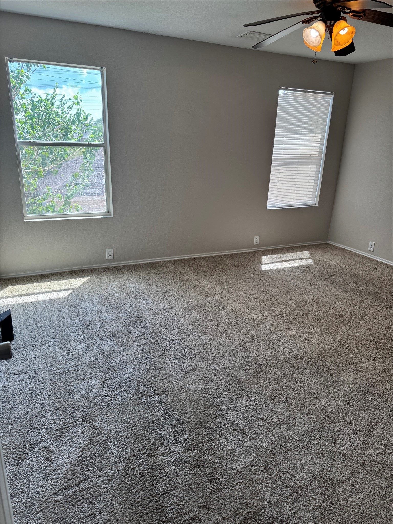 16867 Mammoth Springs Drive Property Photo 9