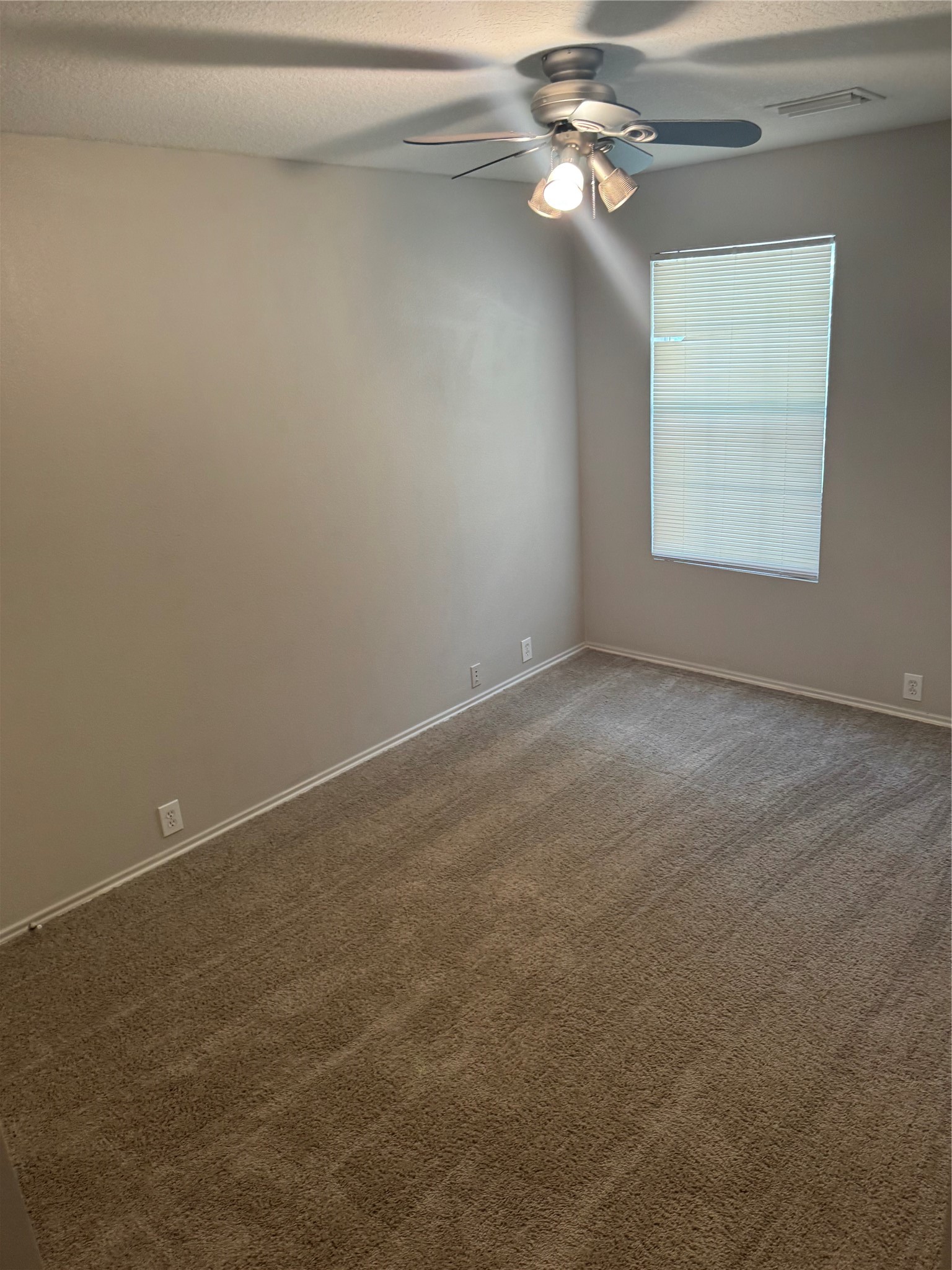 16867 Mammoth Springs Drive Property Photo 11