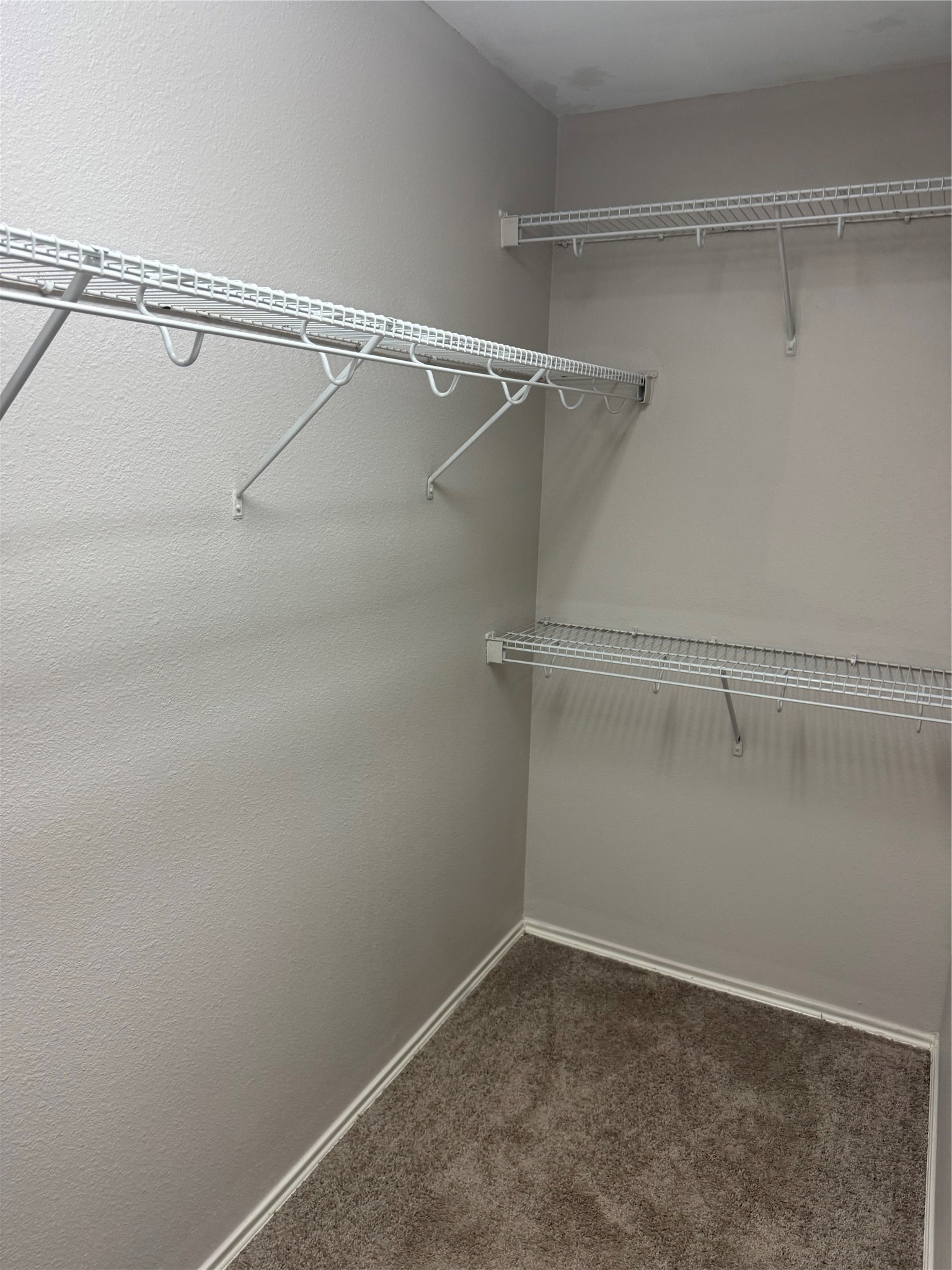 16867 Mammoth Springs Drive Property Photo 13