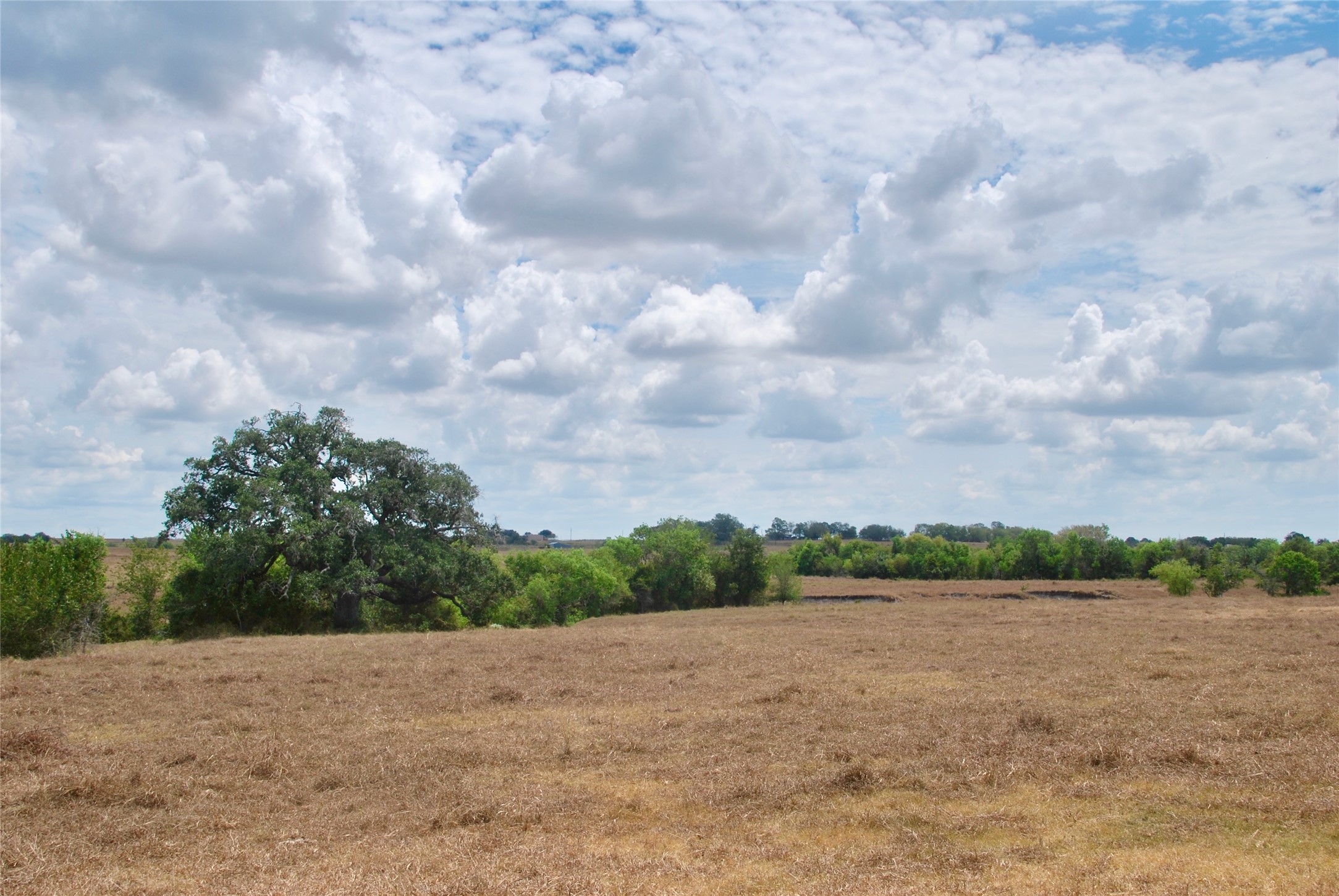 Tract 4 County Road 366 Property Photo 4