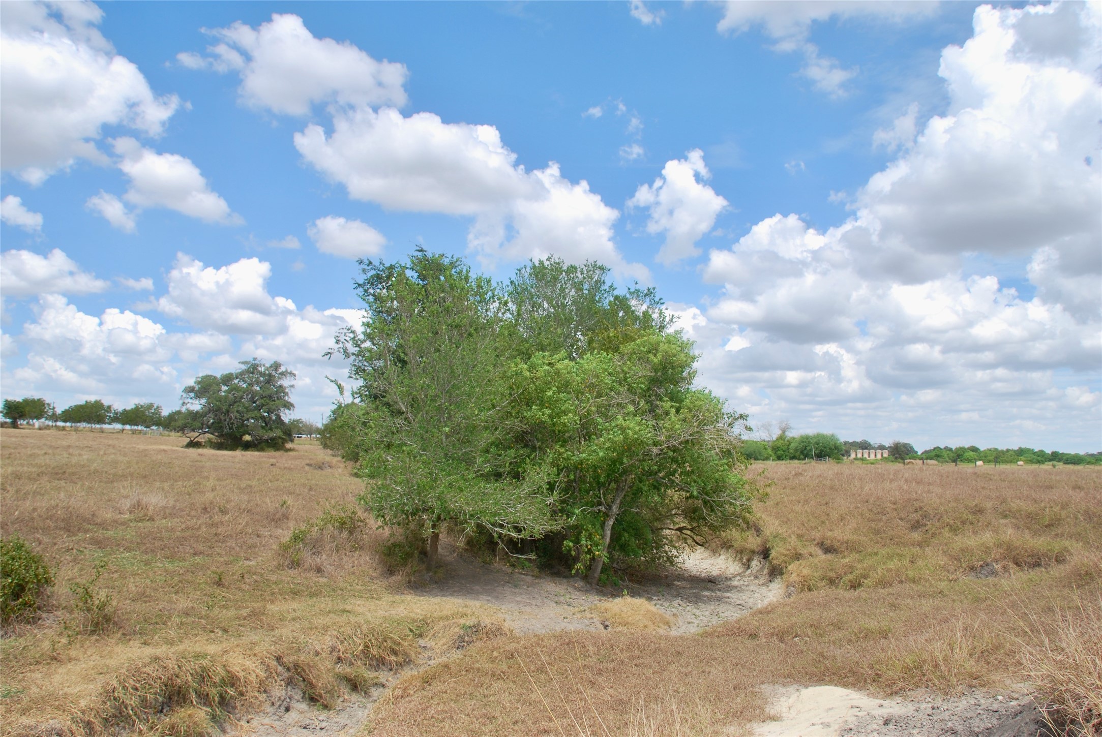 Tract 4 County Road 366 Property Photo 12