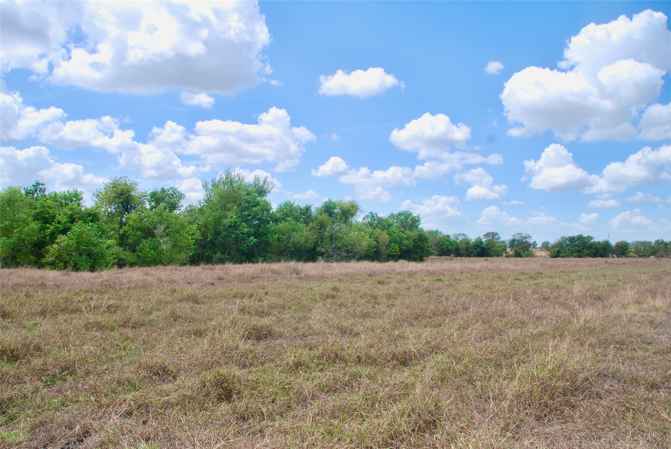 Tract 4 County Road 366 Property Photo 15
