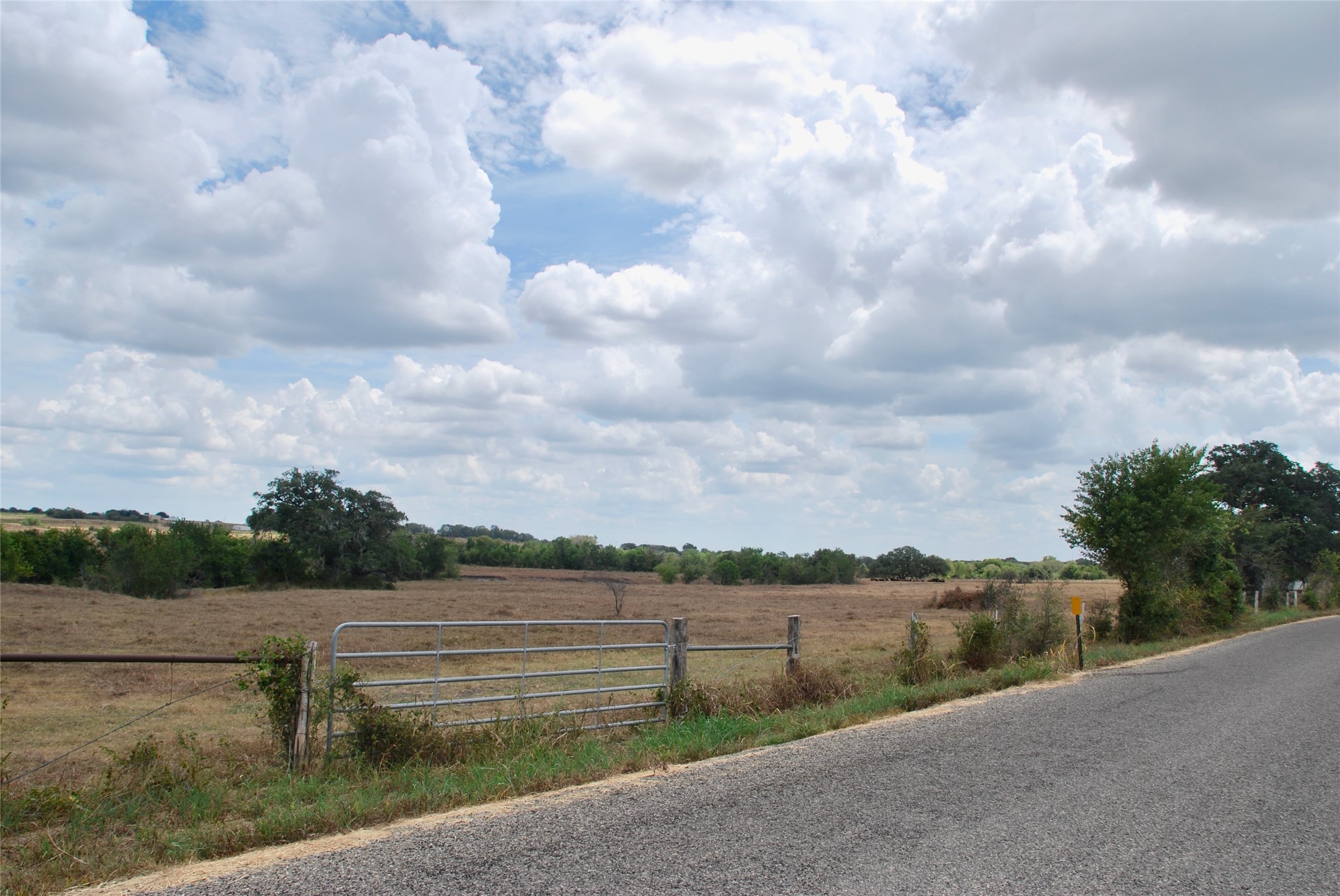 Tract 4 County Road 366 Property Photo 21