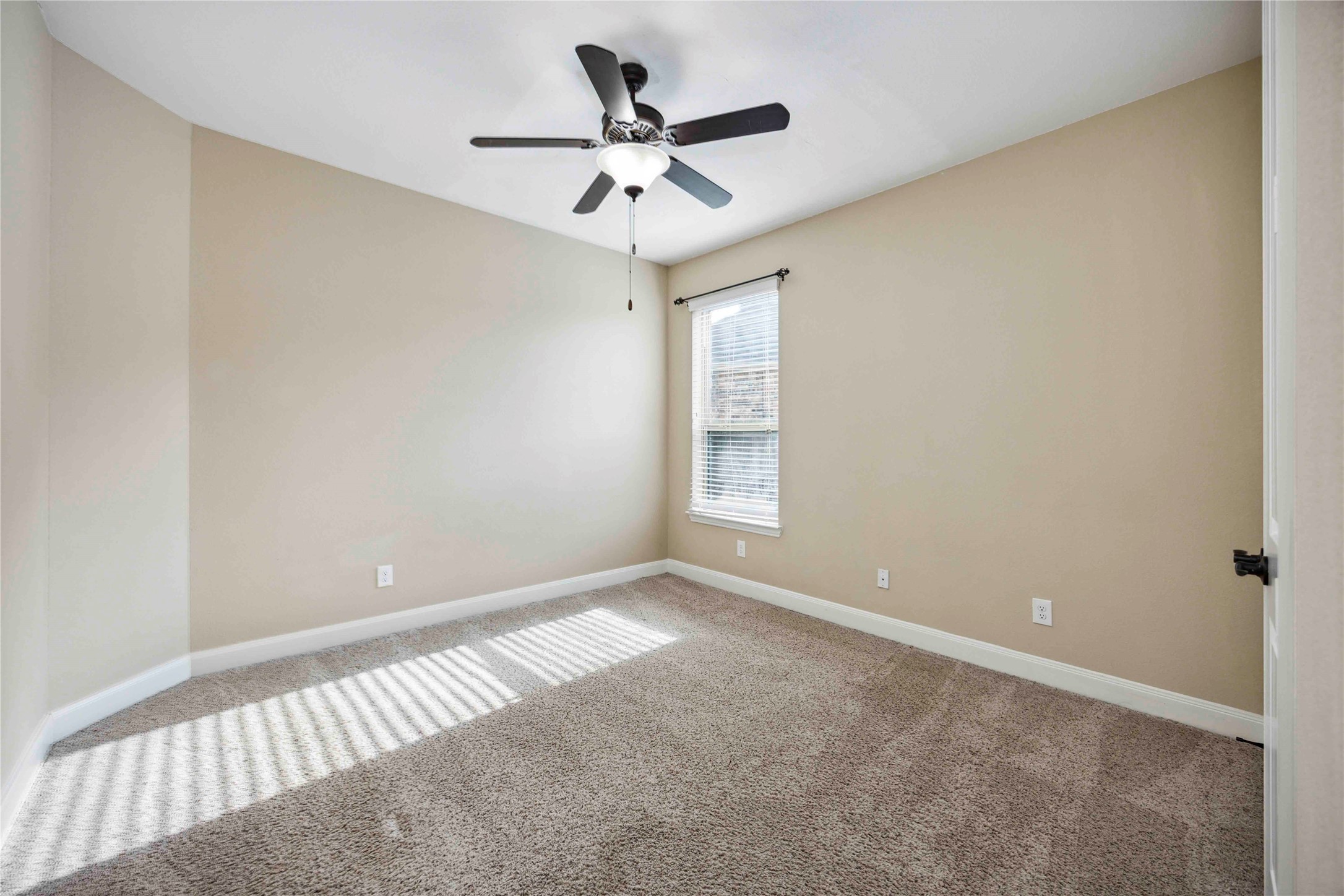 13318 Cameron Reach Drive Property Photo 2