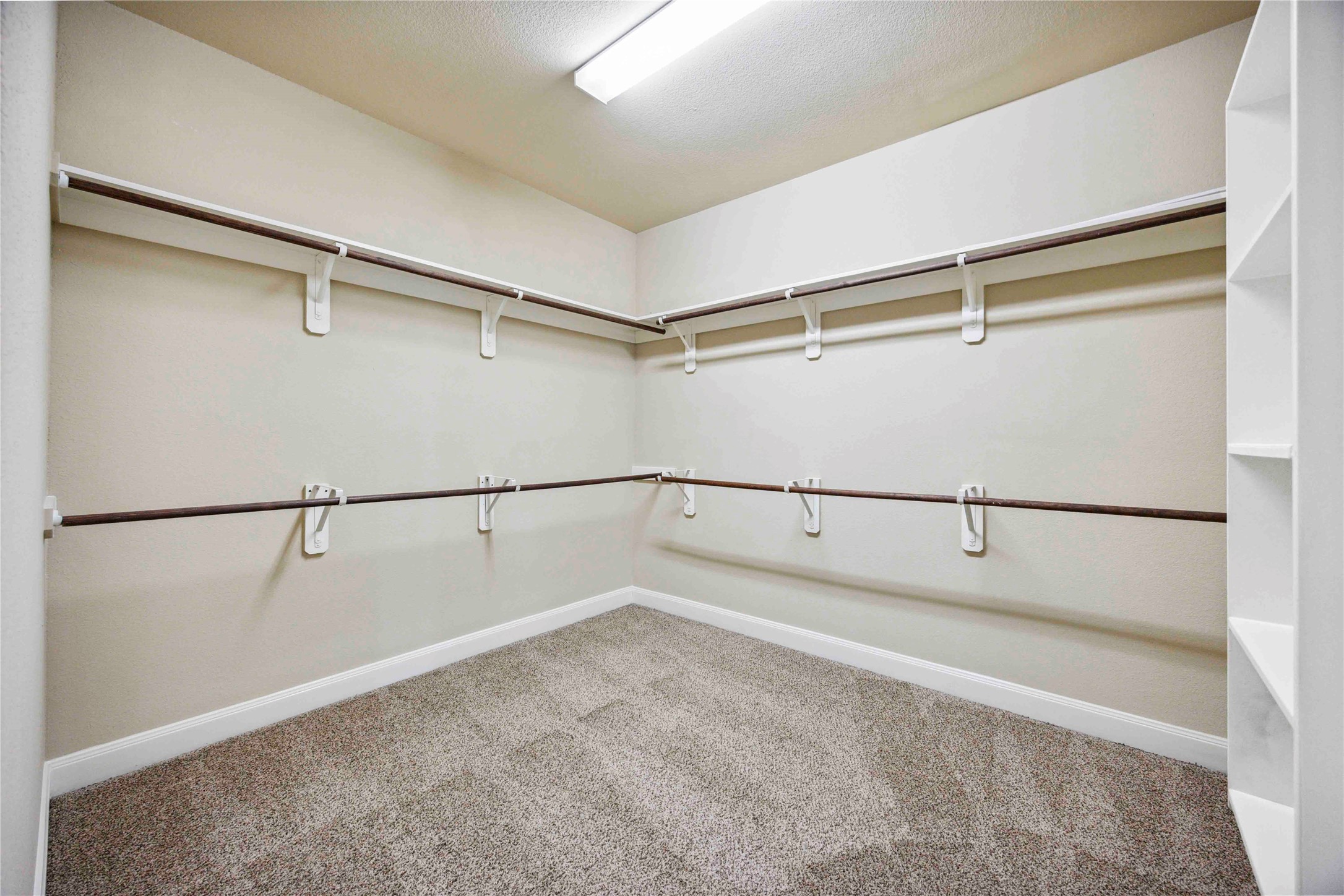 13318 Cameron Reach Drive Property Photo 8